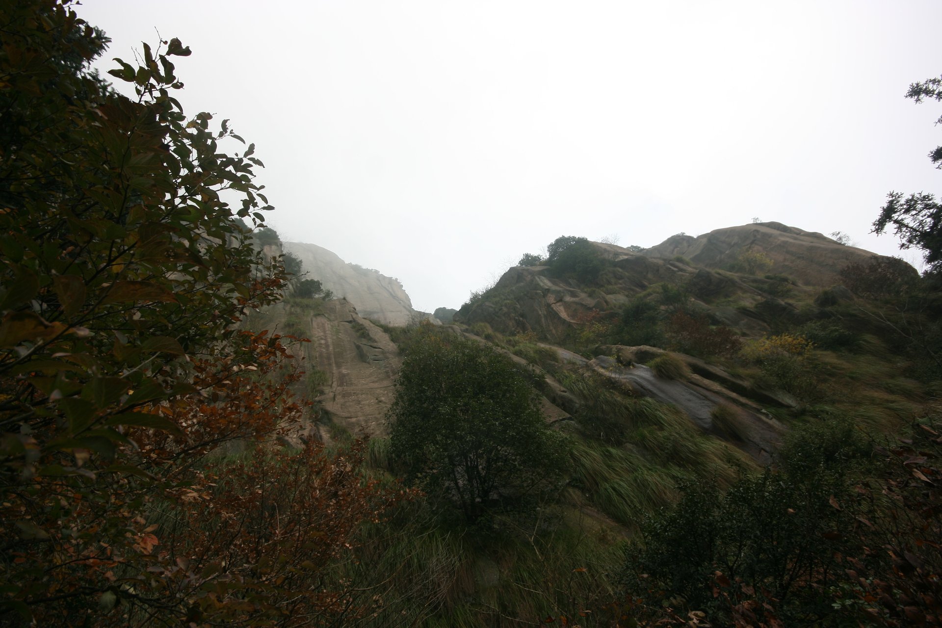 IMG_20111120_090000_049.jpg