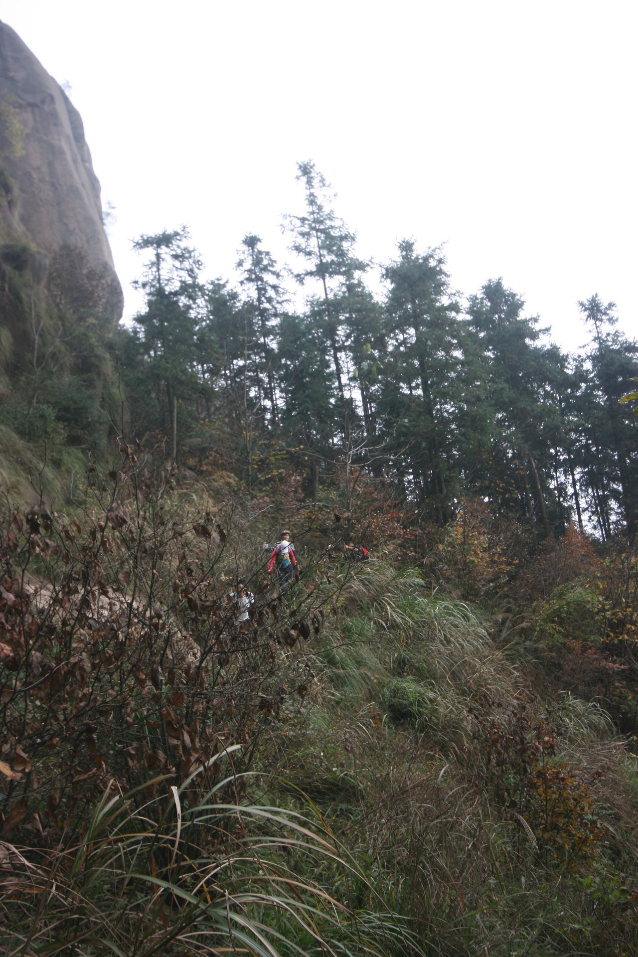 IMG_20111120_090000_050.jpg