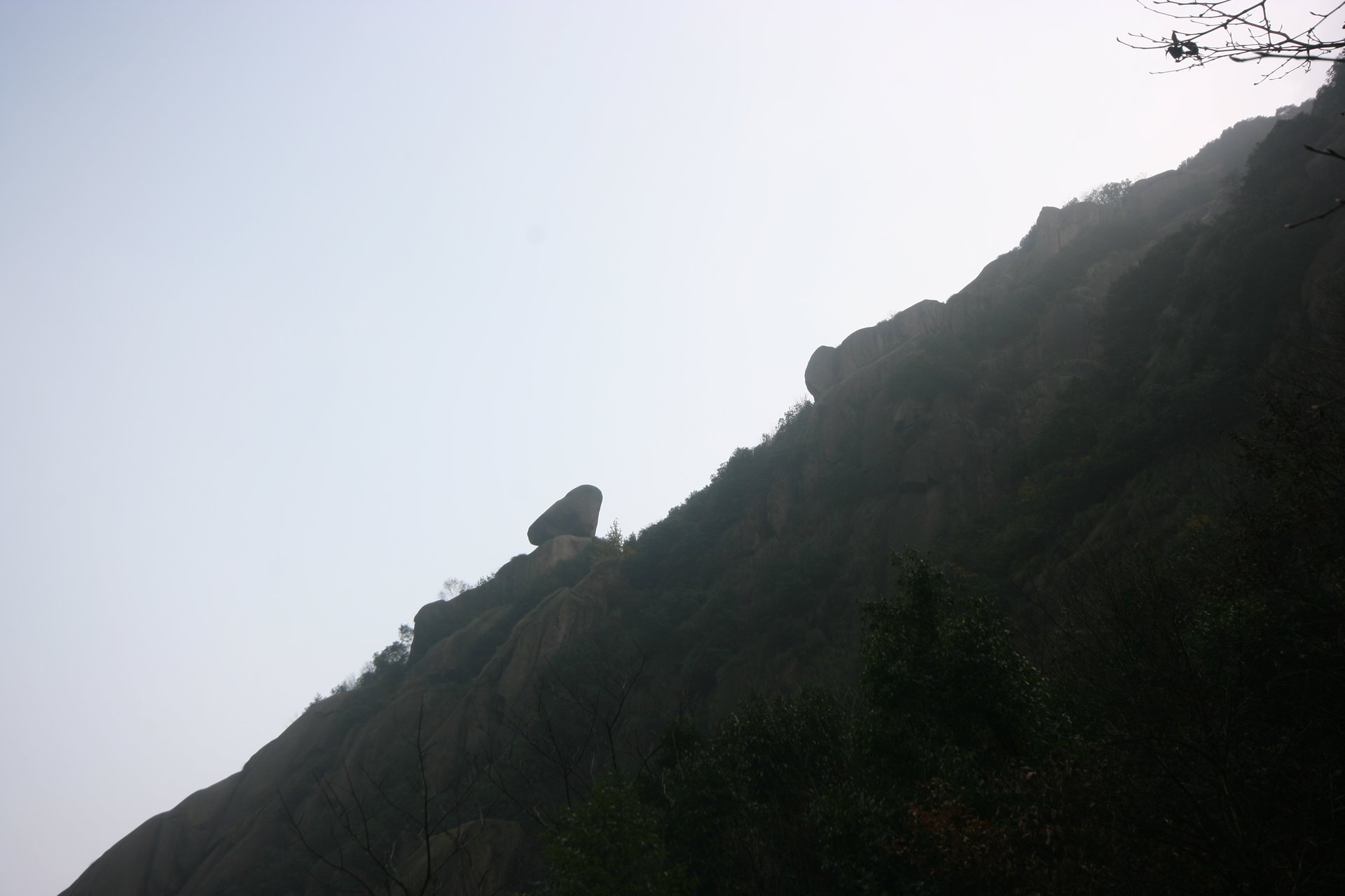 IMG_20111120_090000_056.jpg