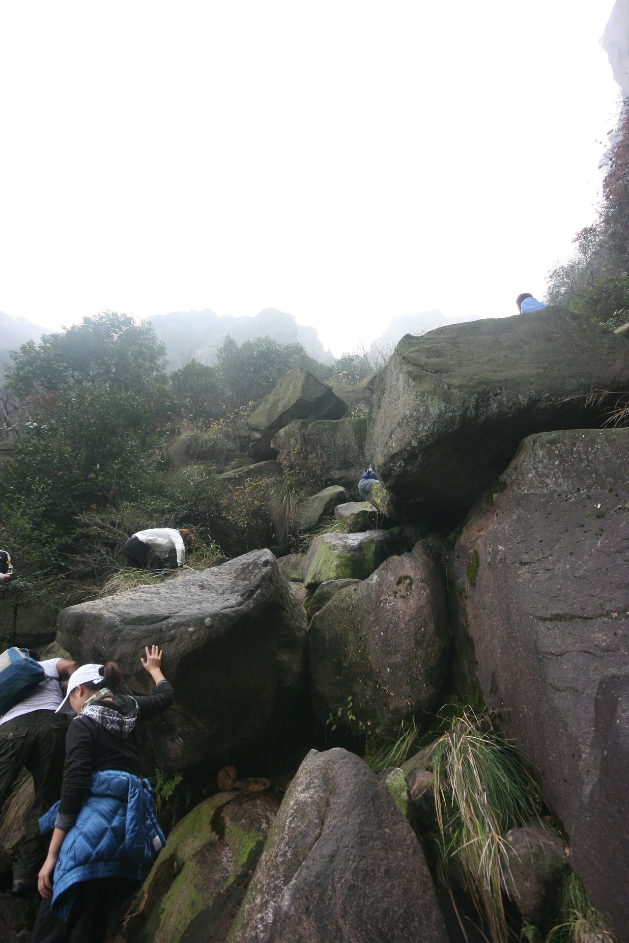 IMG_20111120_090000_057.jpg