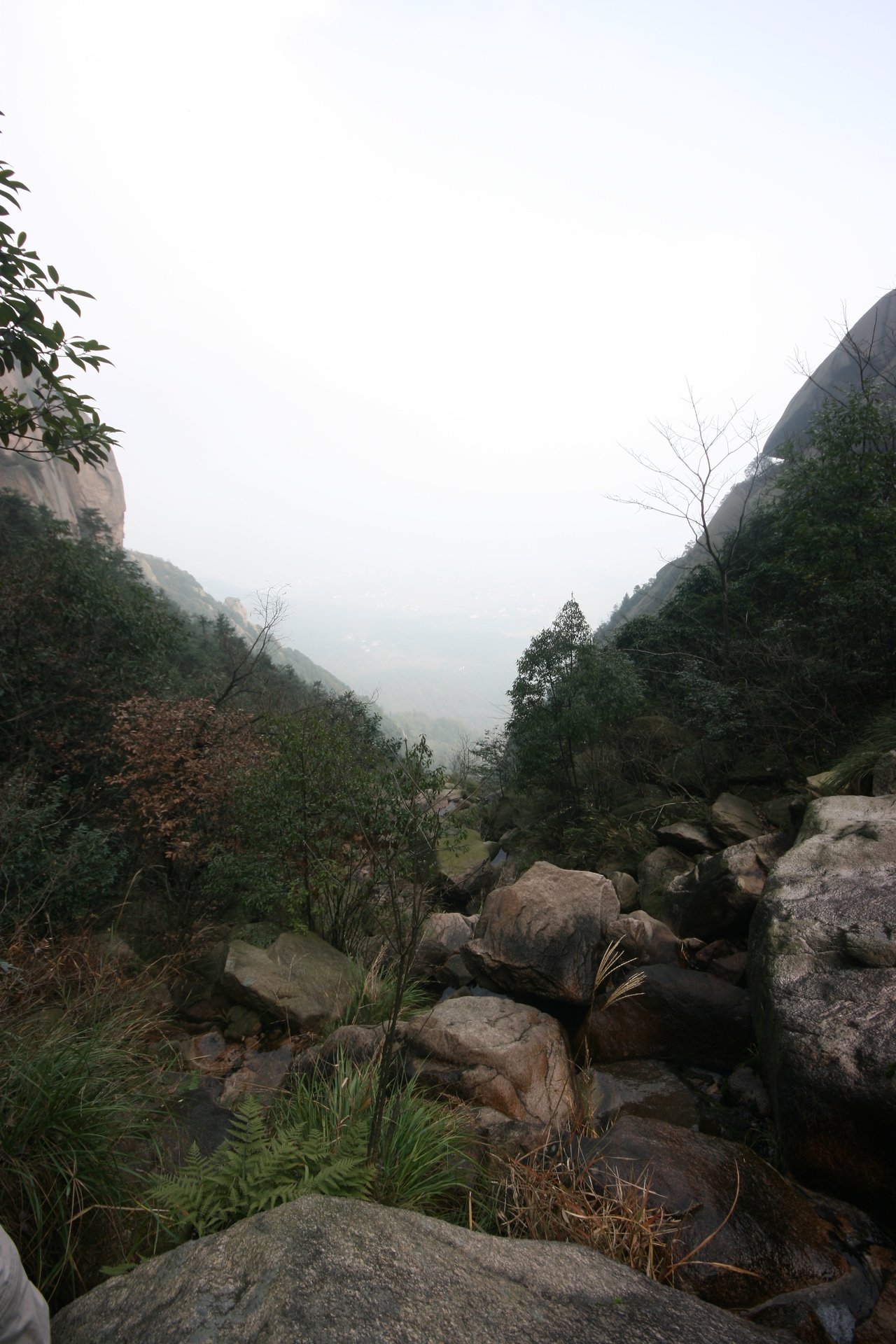 IMG_20111120_090000_058.jpg