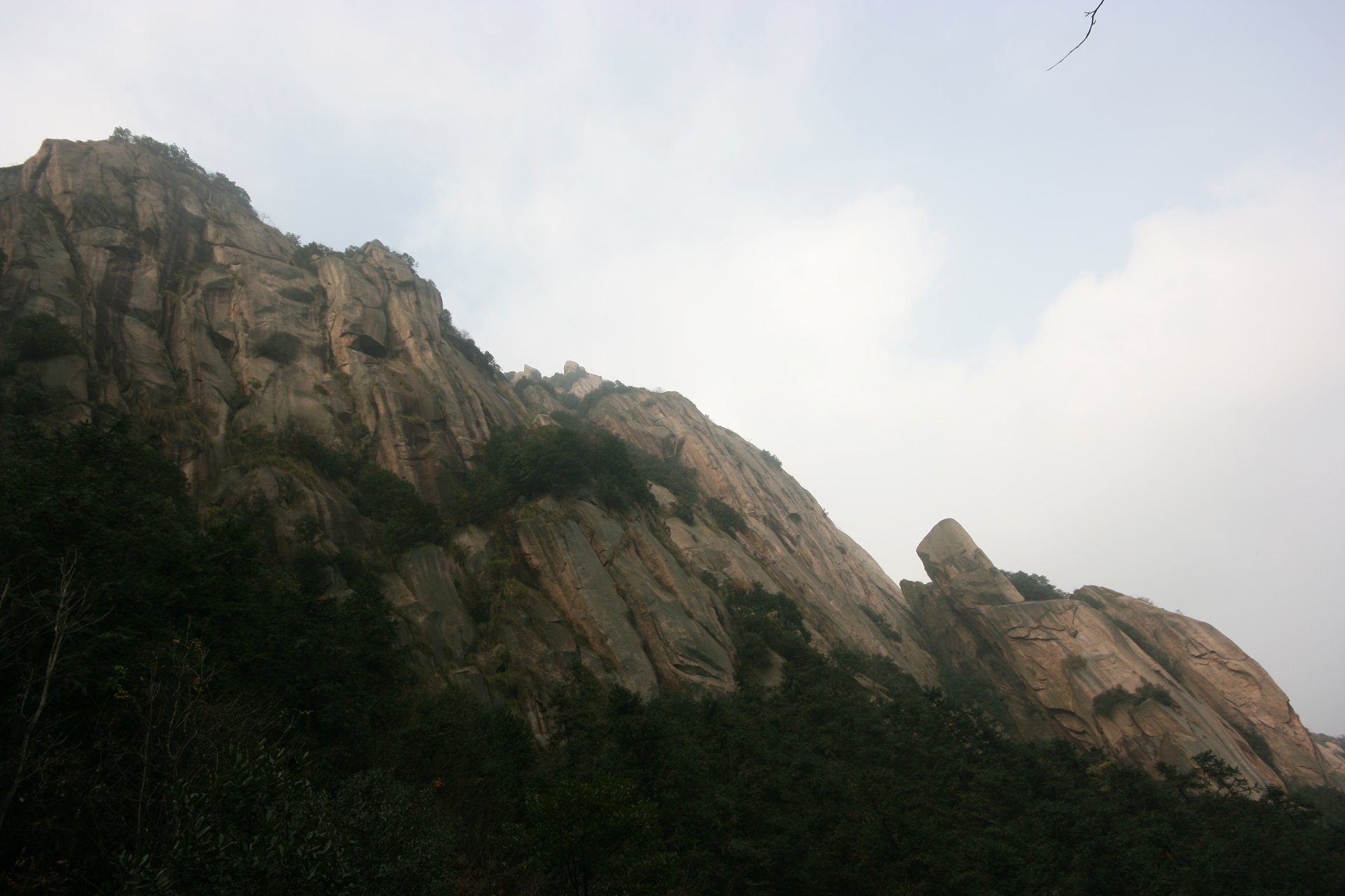 IMG_20111120_090000_061.jpg