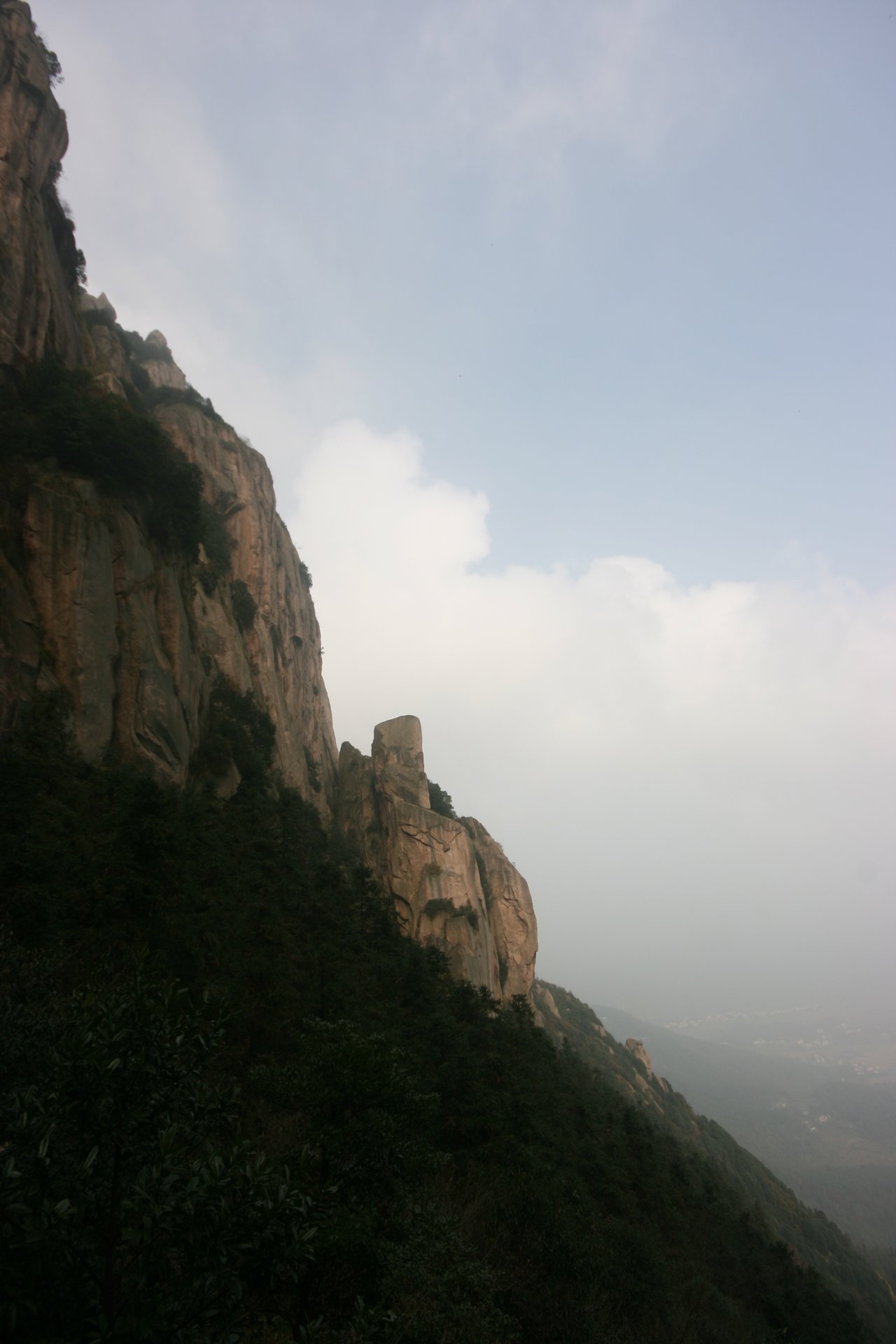 IMG_20111120_090000_062.jpg
