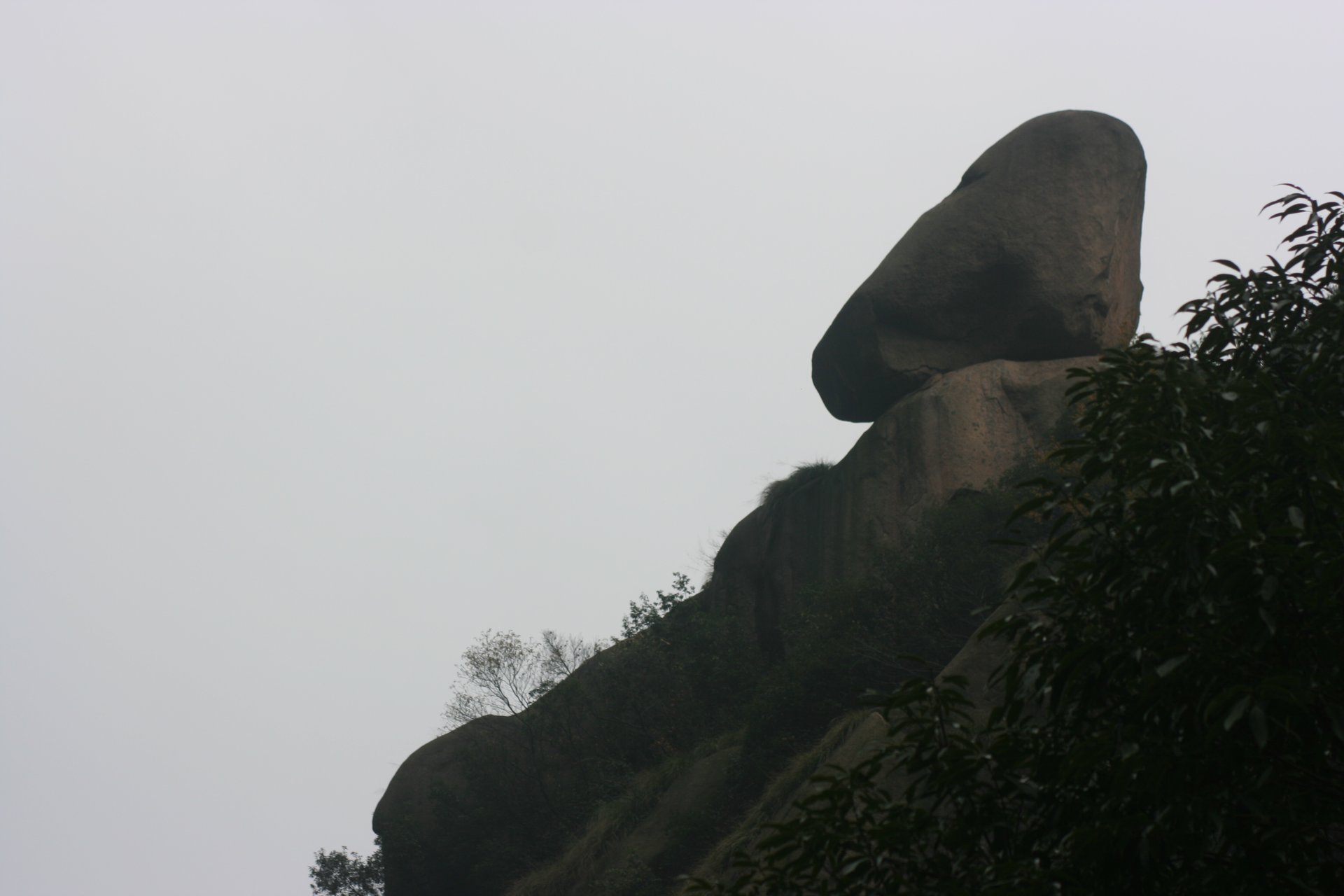 IMG_20111120_090000_067.jpg