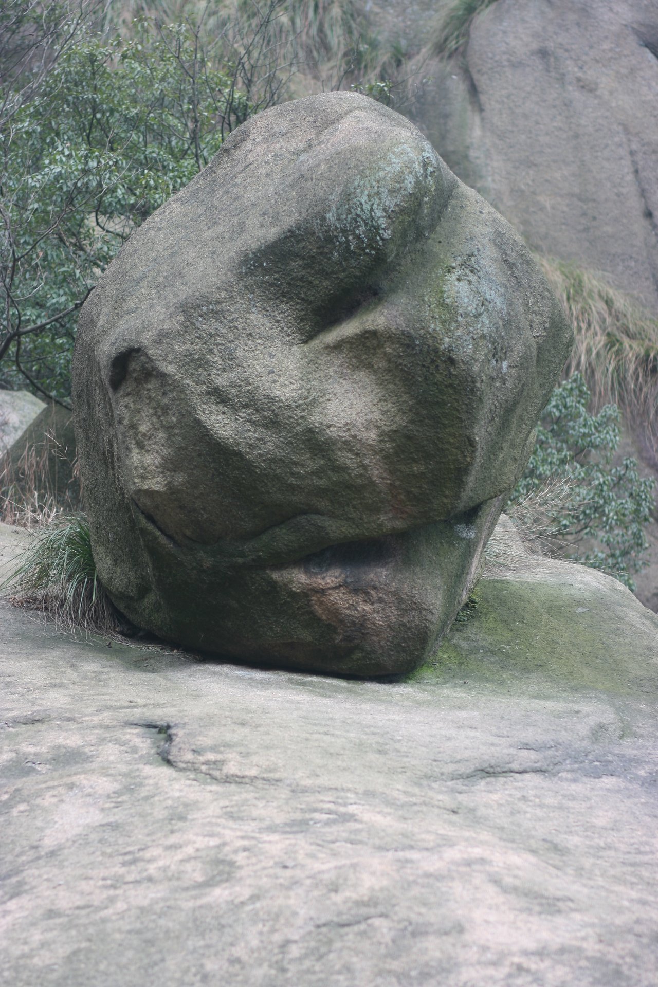 IMG_20111120_090000_082.jpg