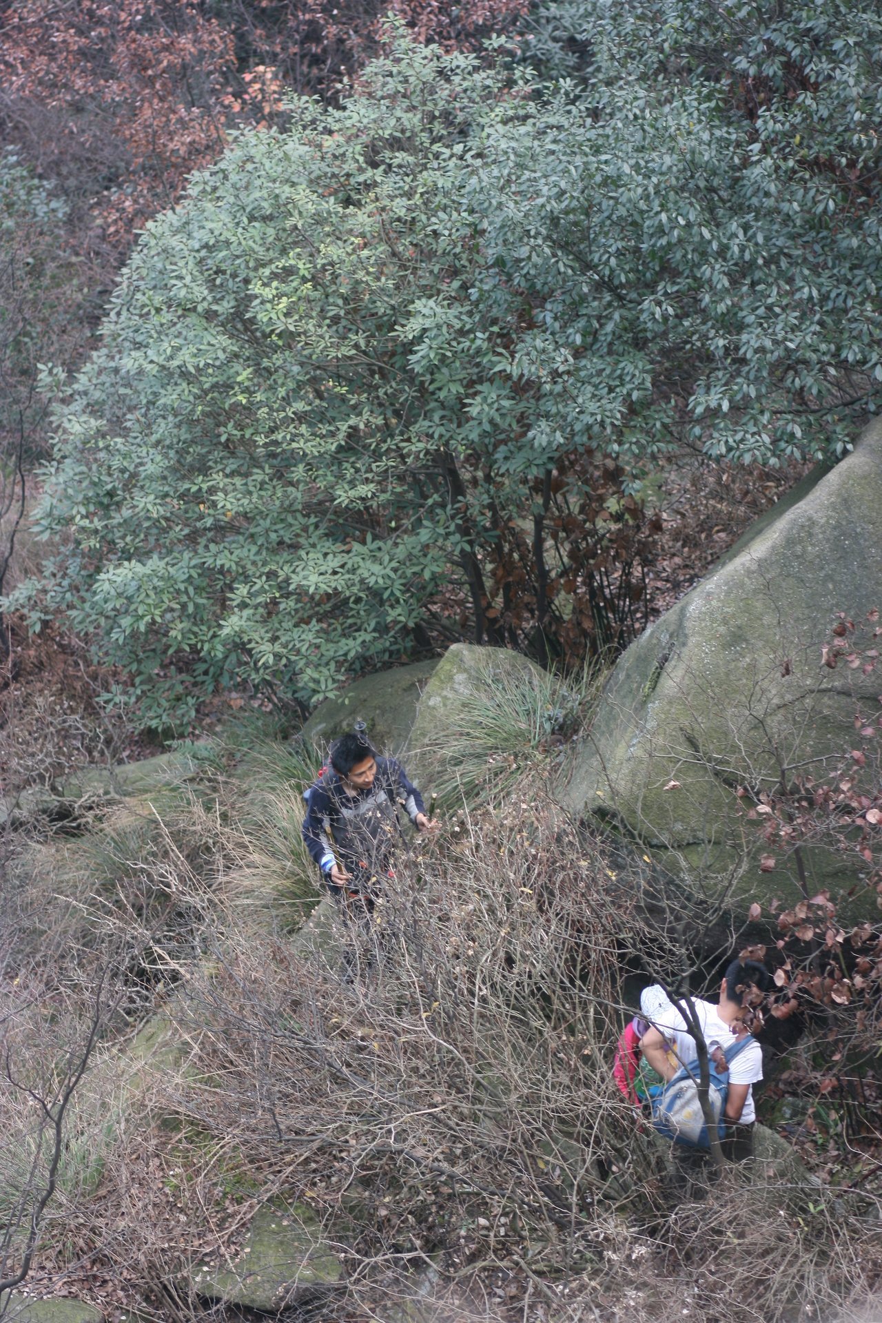 IMG_20111120_090000_089.jpg