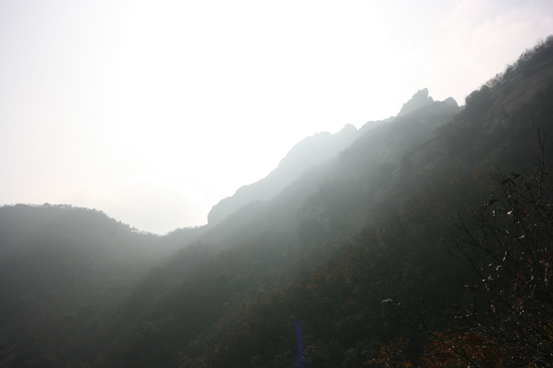 IMG_20111120_090000_107.jpg