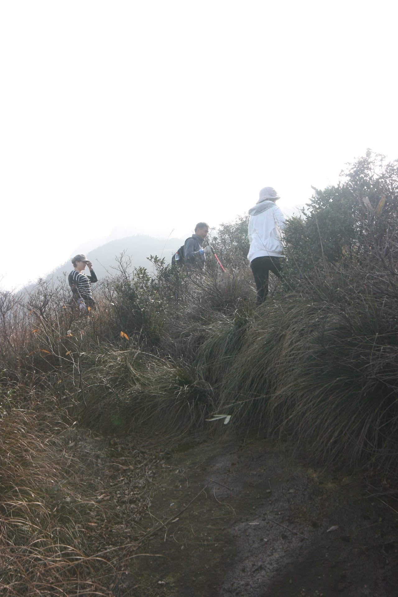 IMG_20111120_090000_130.jpg