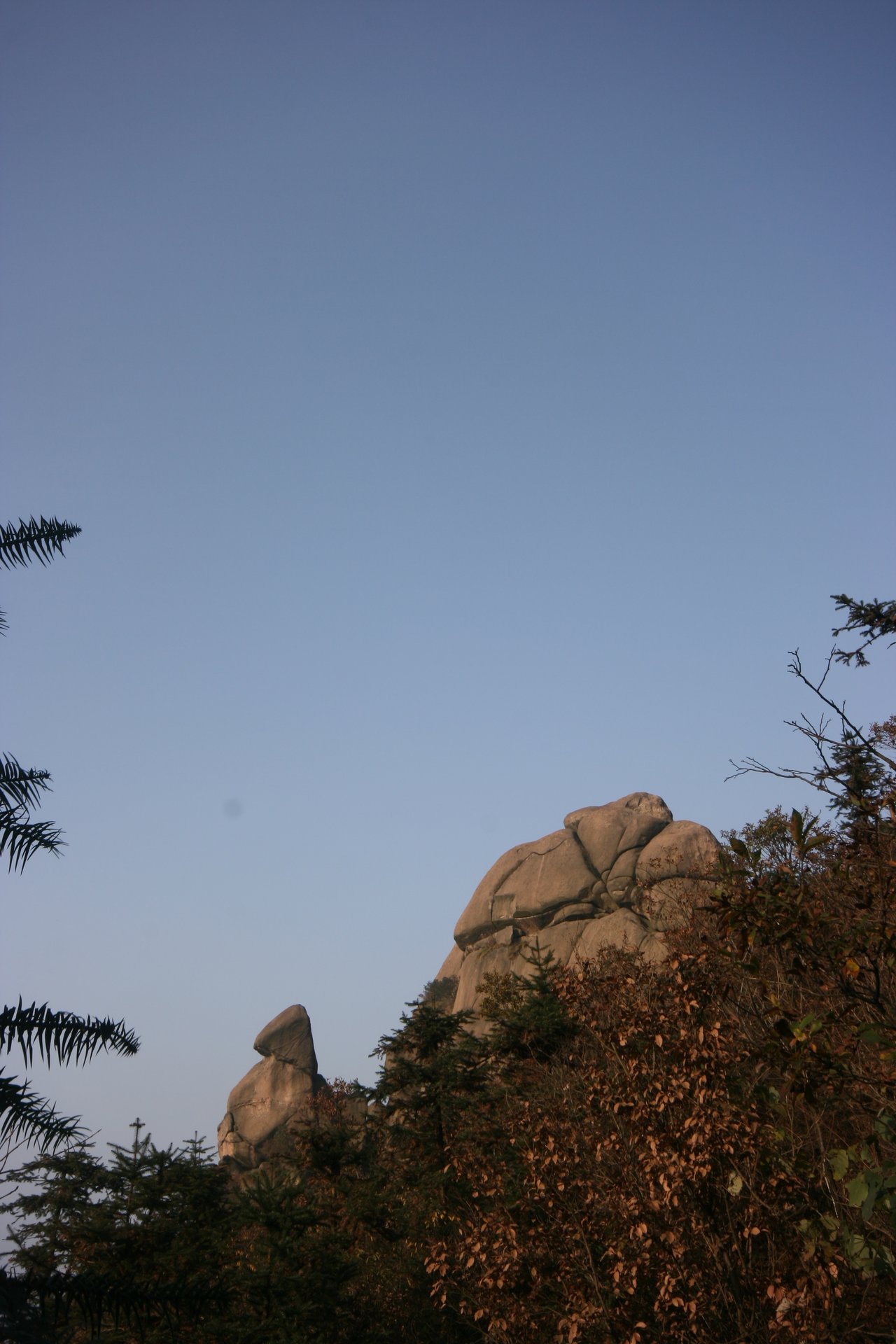 IMG_20111120_090000_134.jpg