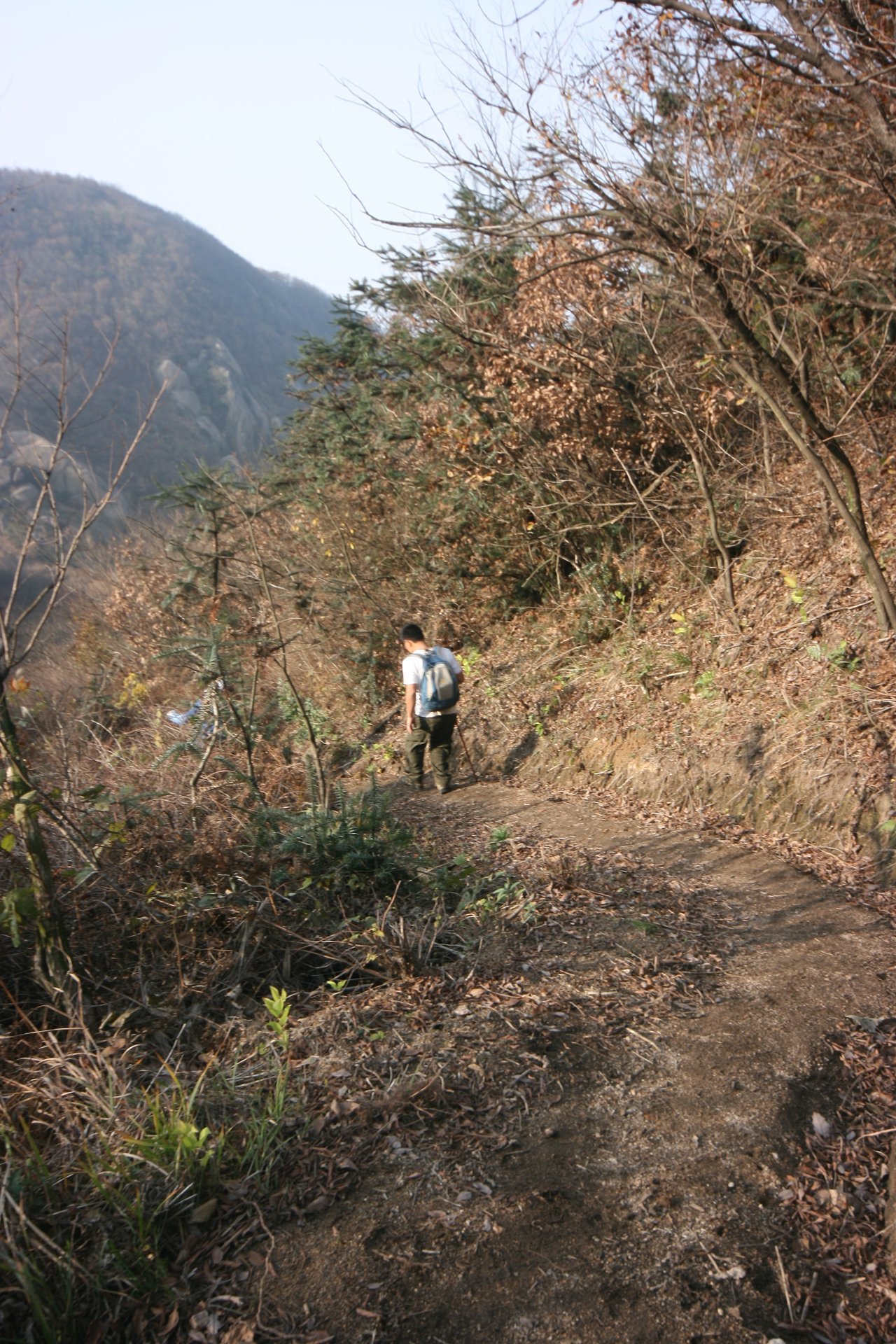 IMG_20111120_090000_135.jpg