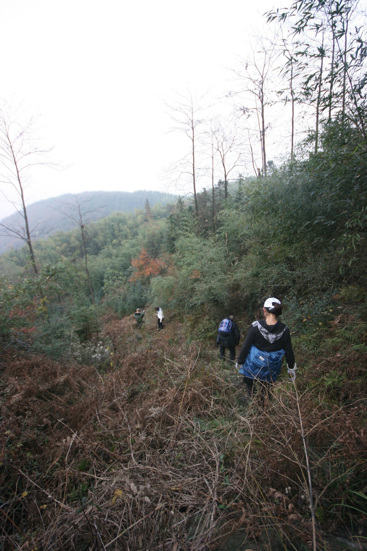 IMG_20111120_090000_146.jpg