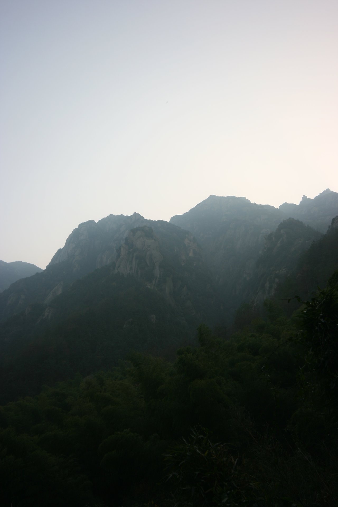 IMG_20111120_090000_148.jpg