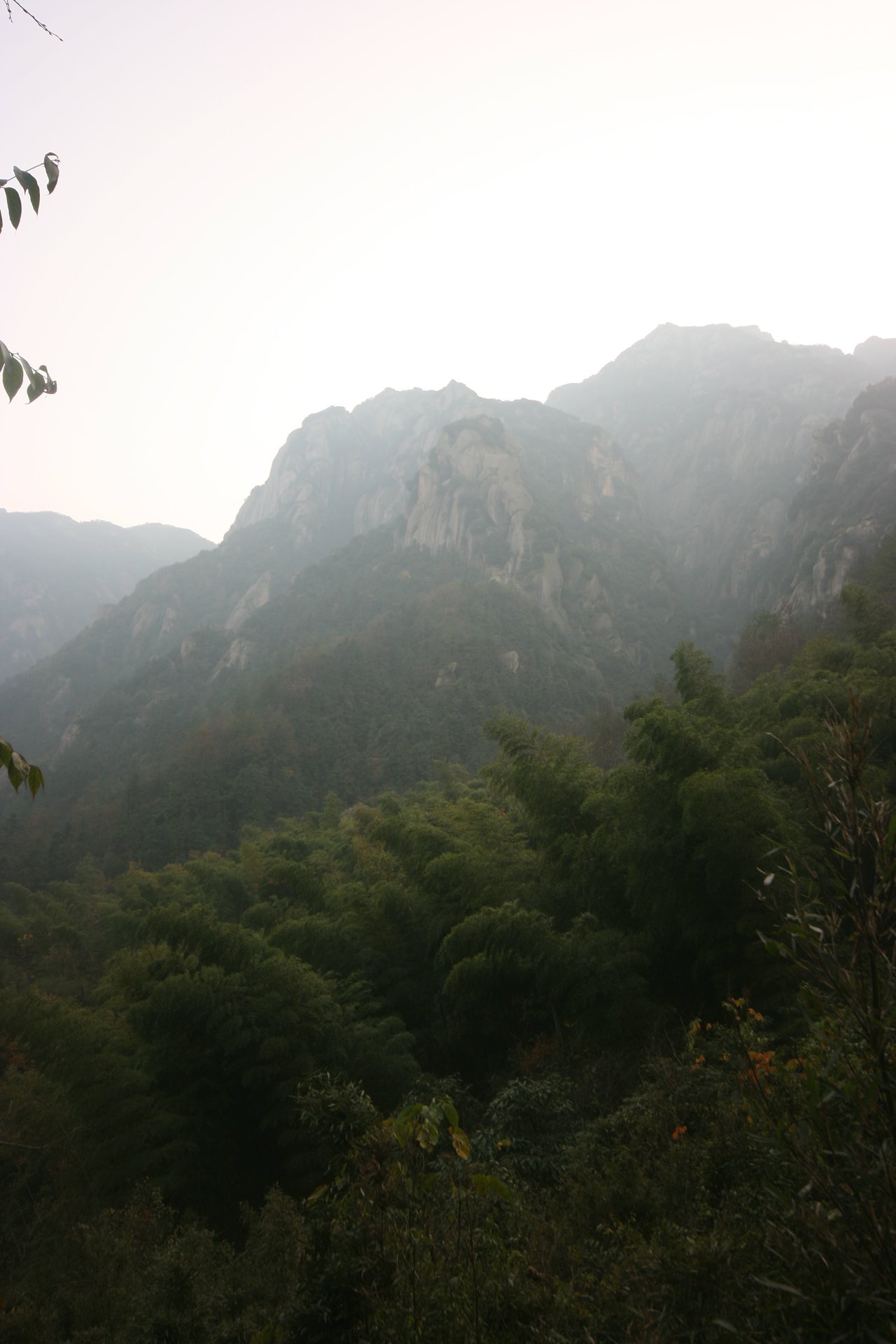 IMG_20111120_090000_149.jpg