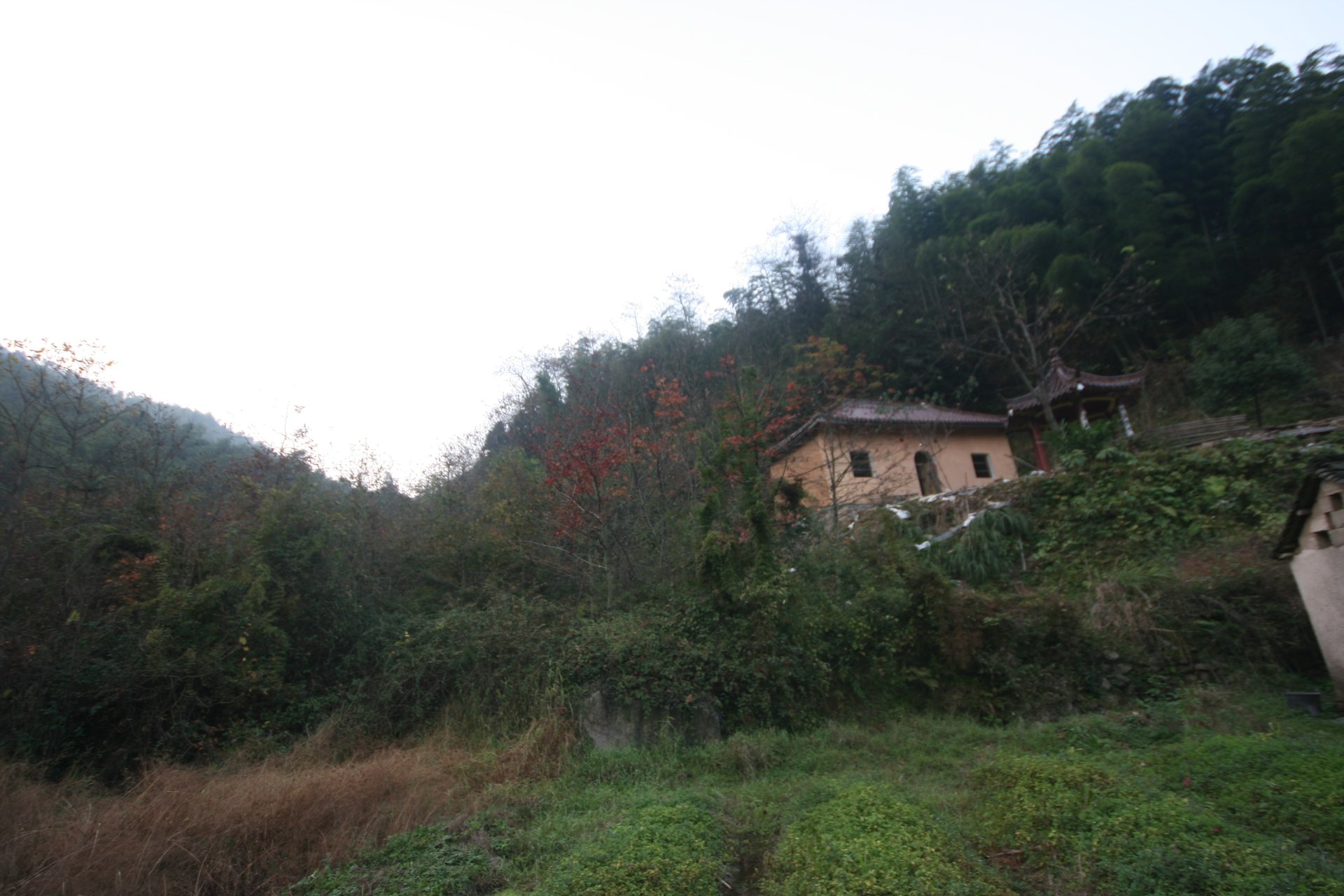 IMG_20111120_090000_150.jpg