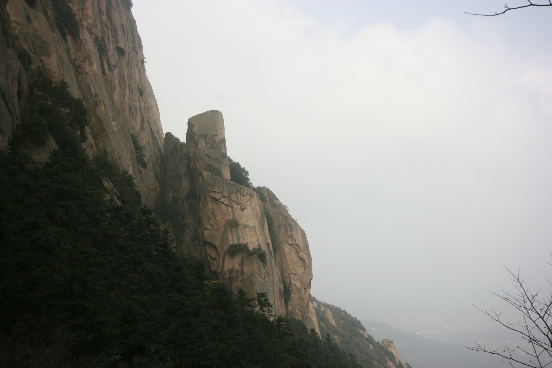 IMG_20111120_111332.jpg