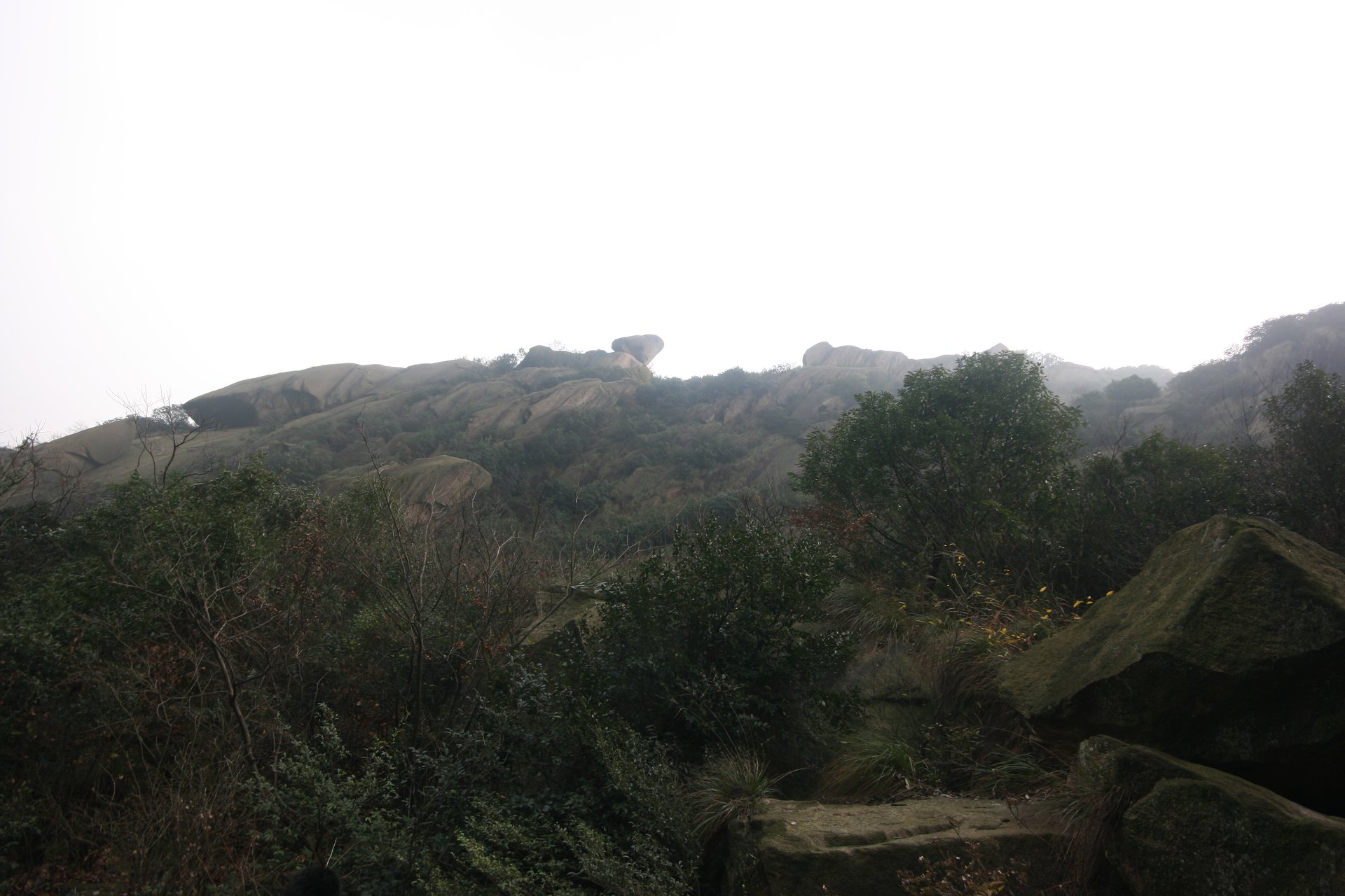 IMG_20111120_111701.jpg