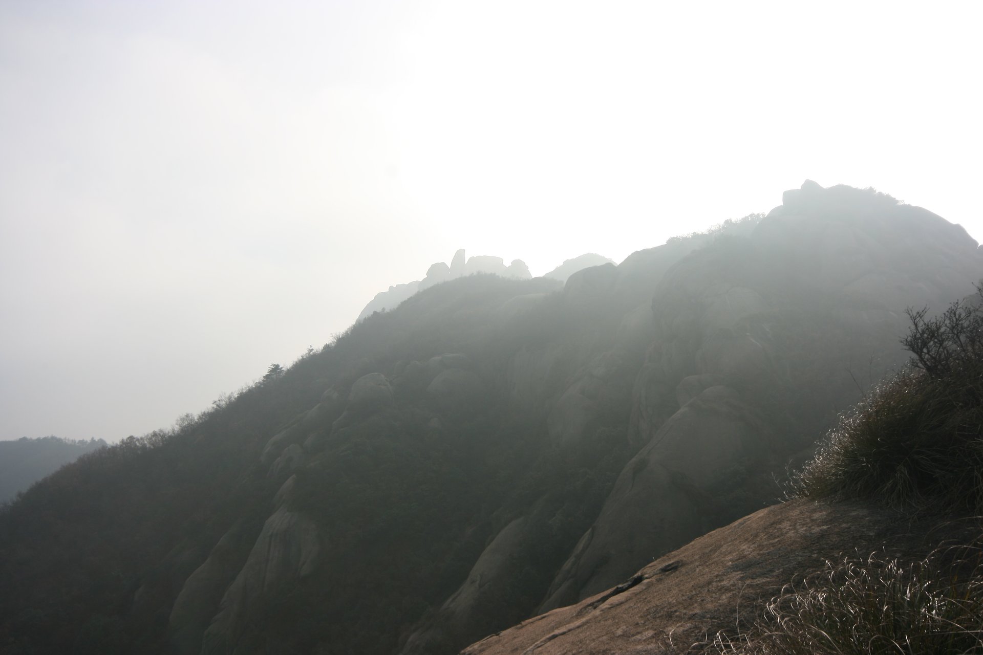 IMG_20111120_140442.jpg