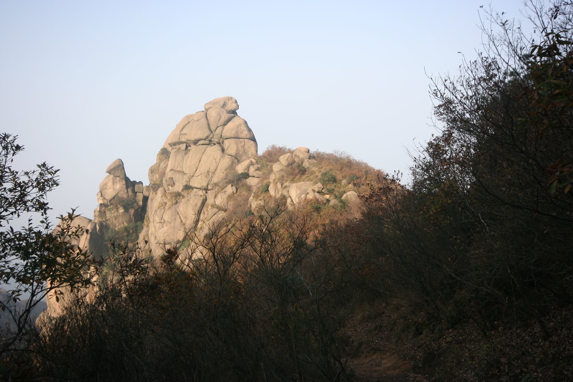 IMG_20111120_150314.jpg