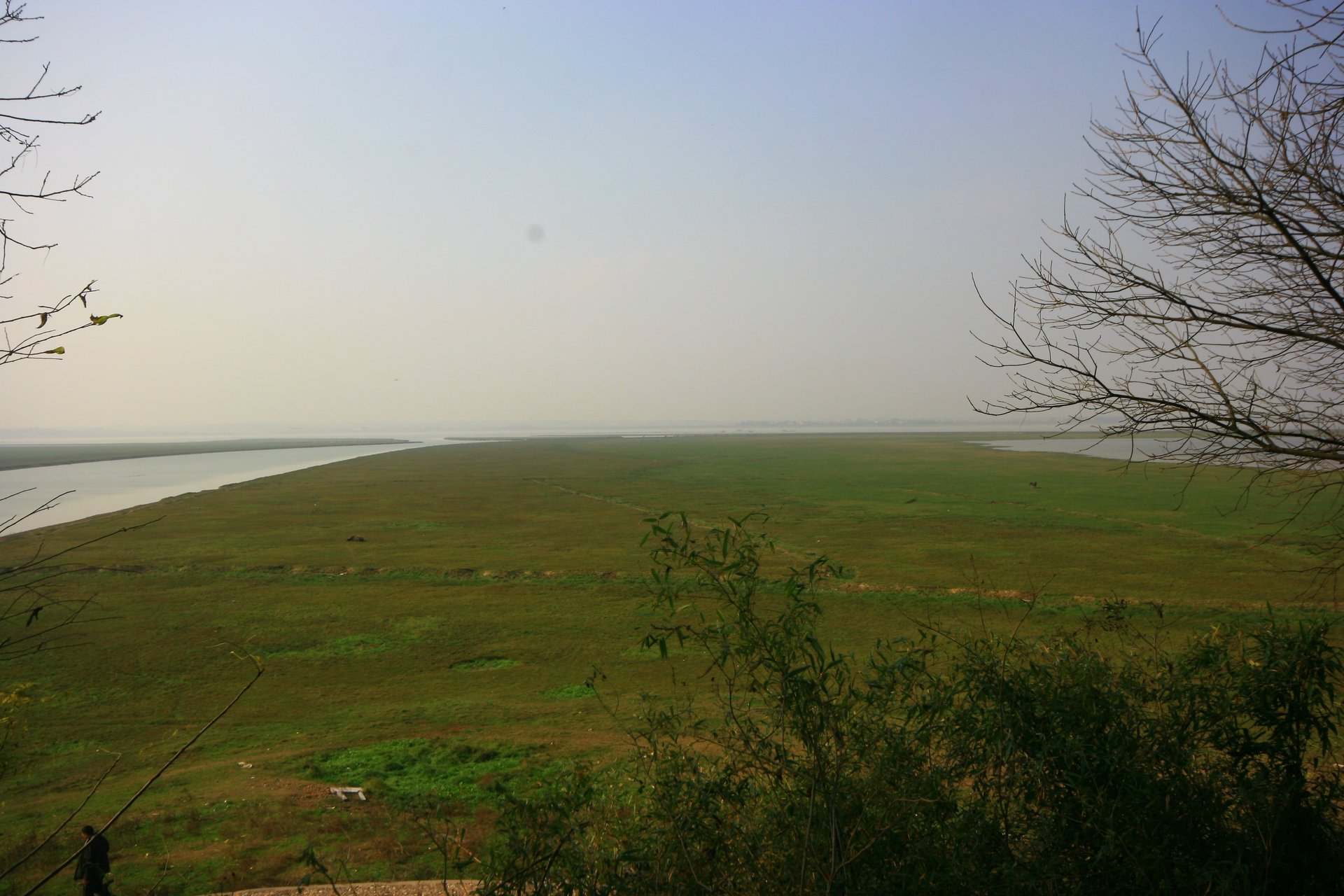 IMG_20111203_090000_001.jpg