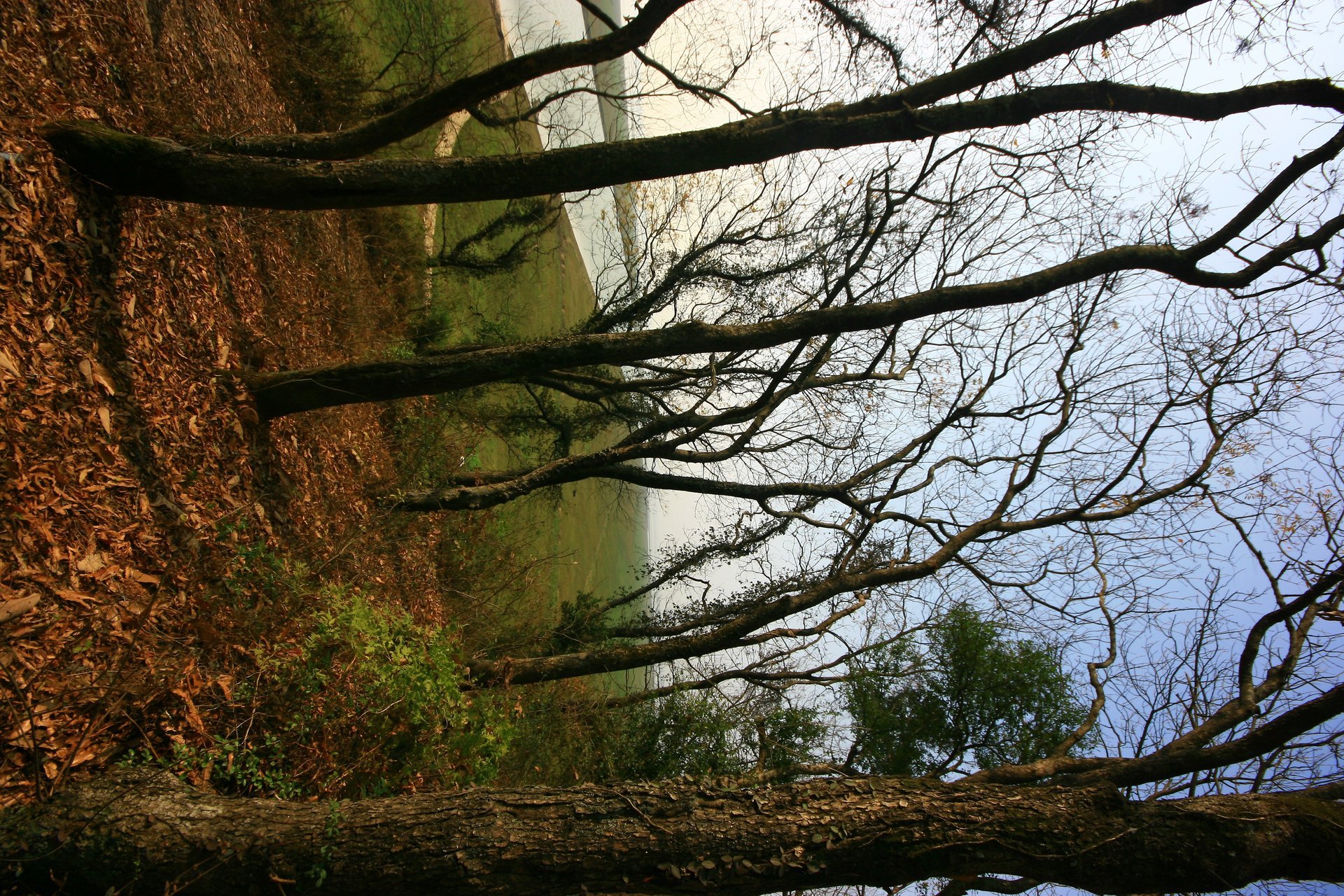 IMG_20111203_090000_006.jpg