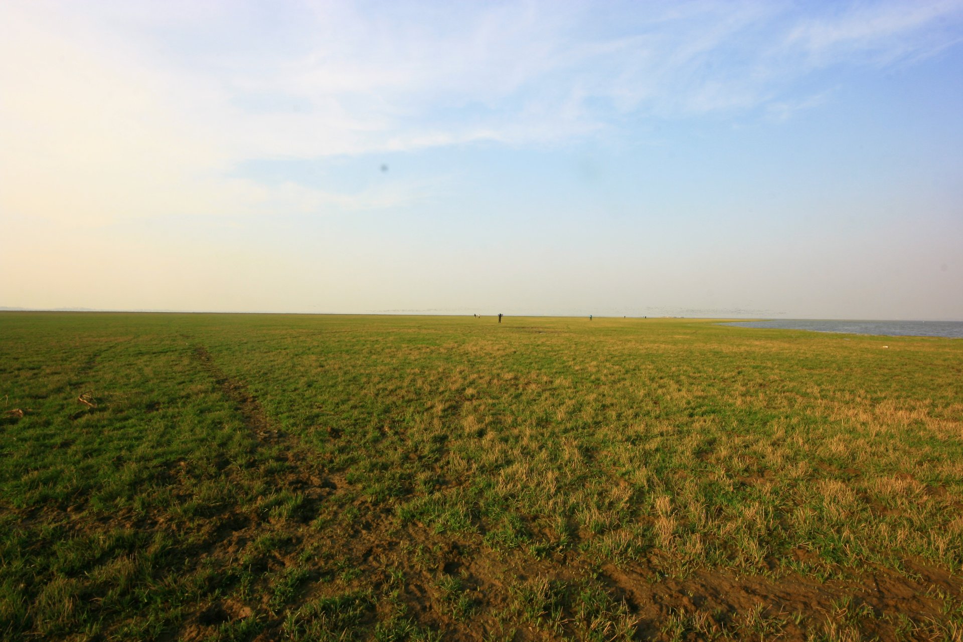 IMG_20111203_090000_013.jpg