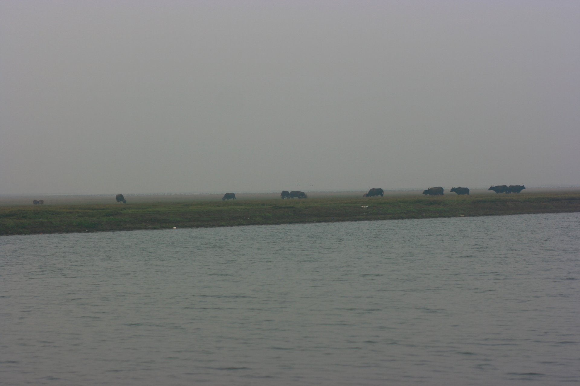 IMG_20111203_090000_055.jpg