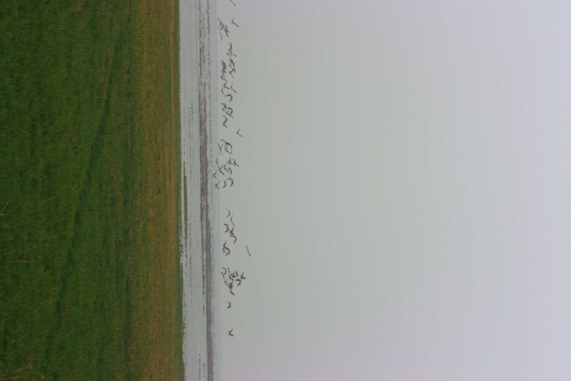IMG_20111203_090000_059.jpg