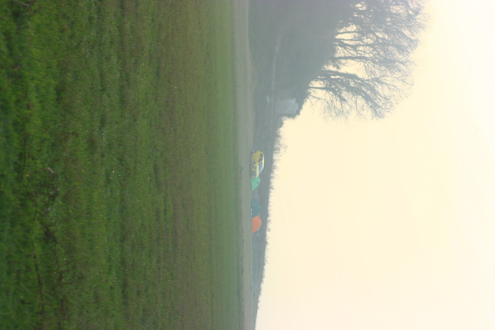 IMG_20111203_090000_063.jpg