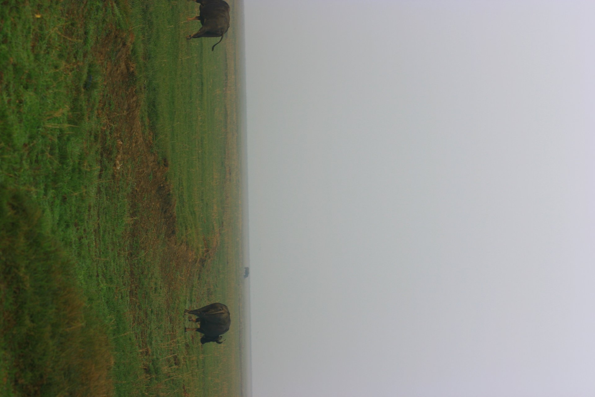 IMG_20111204_074021.jpg