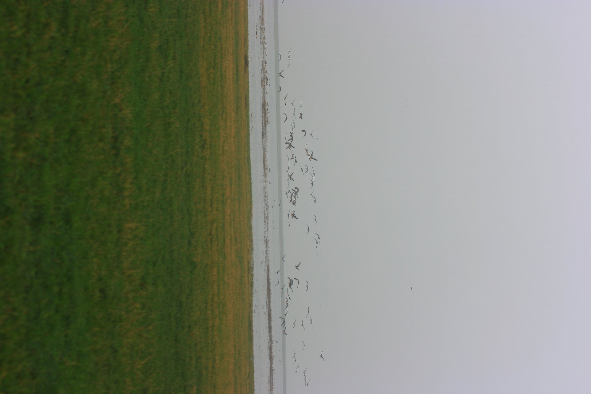 IMG_20111204_074057.jpg