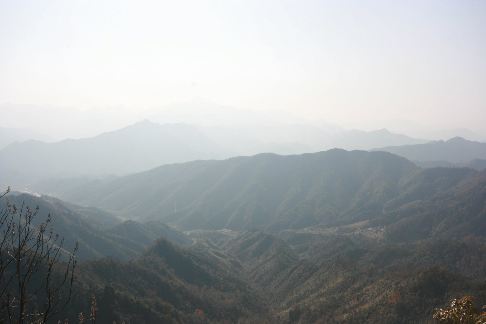 IMG_20111210_090000_018.jpg
