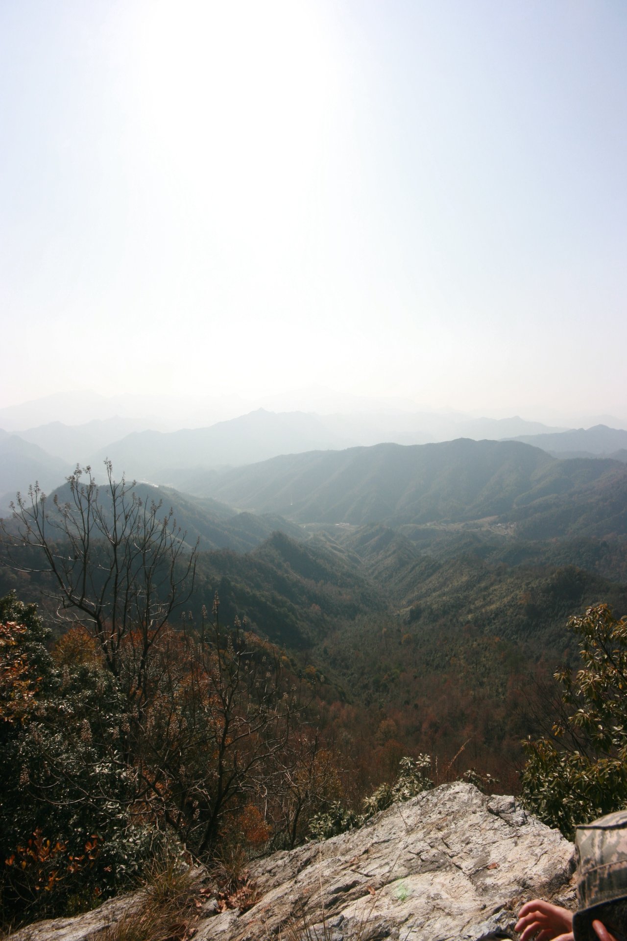 IMG_20111210_090000_019.jpg