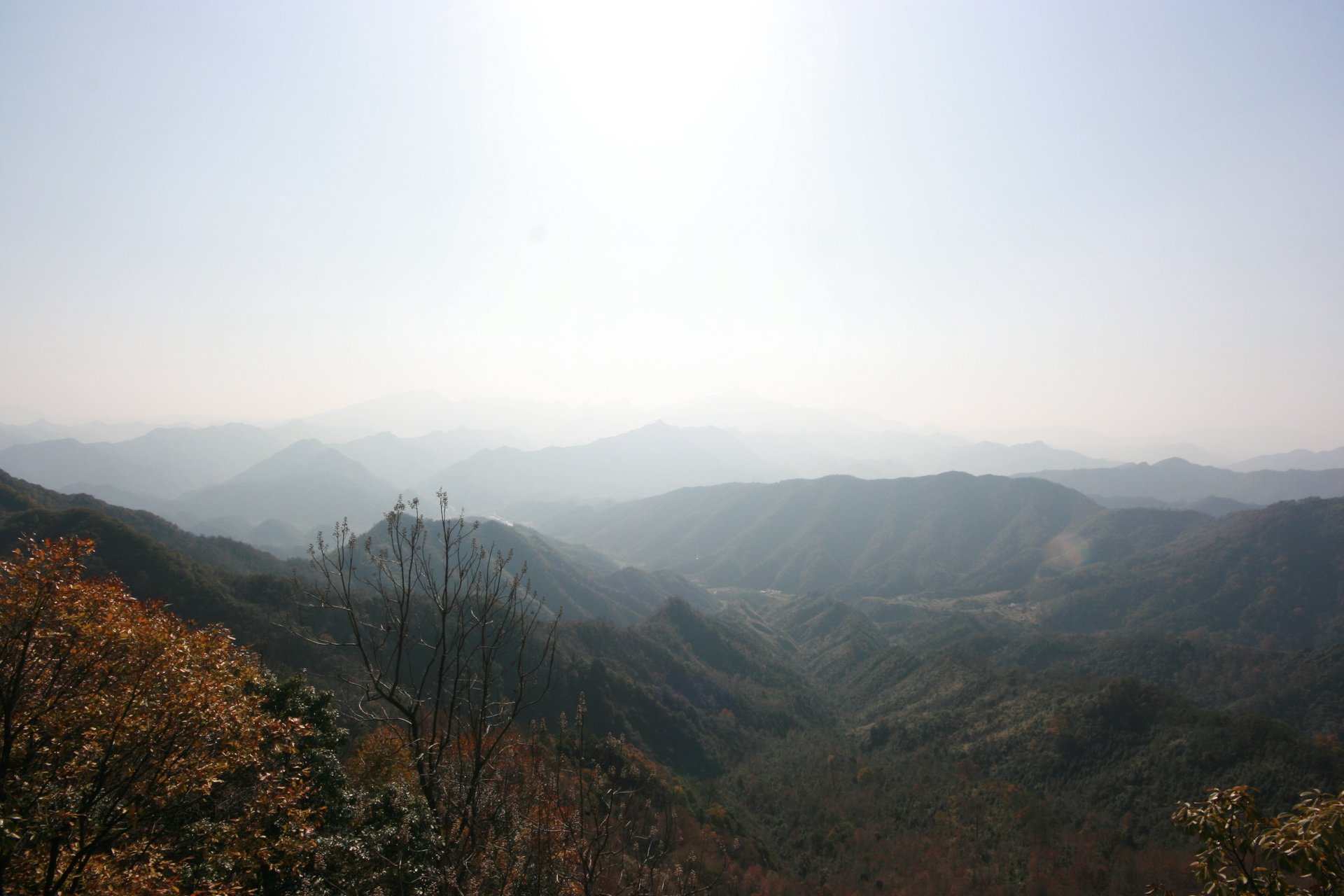 IMG_20111210_090000_020.jpg