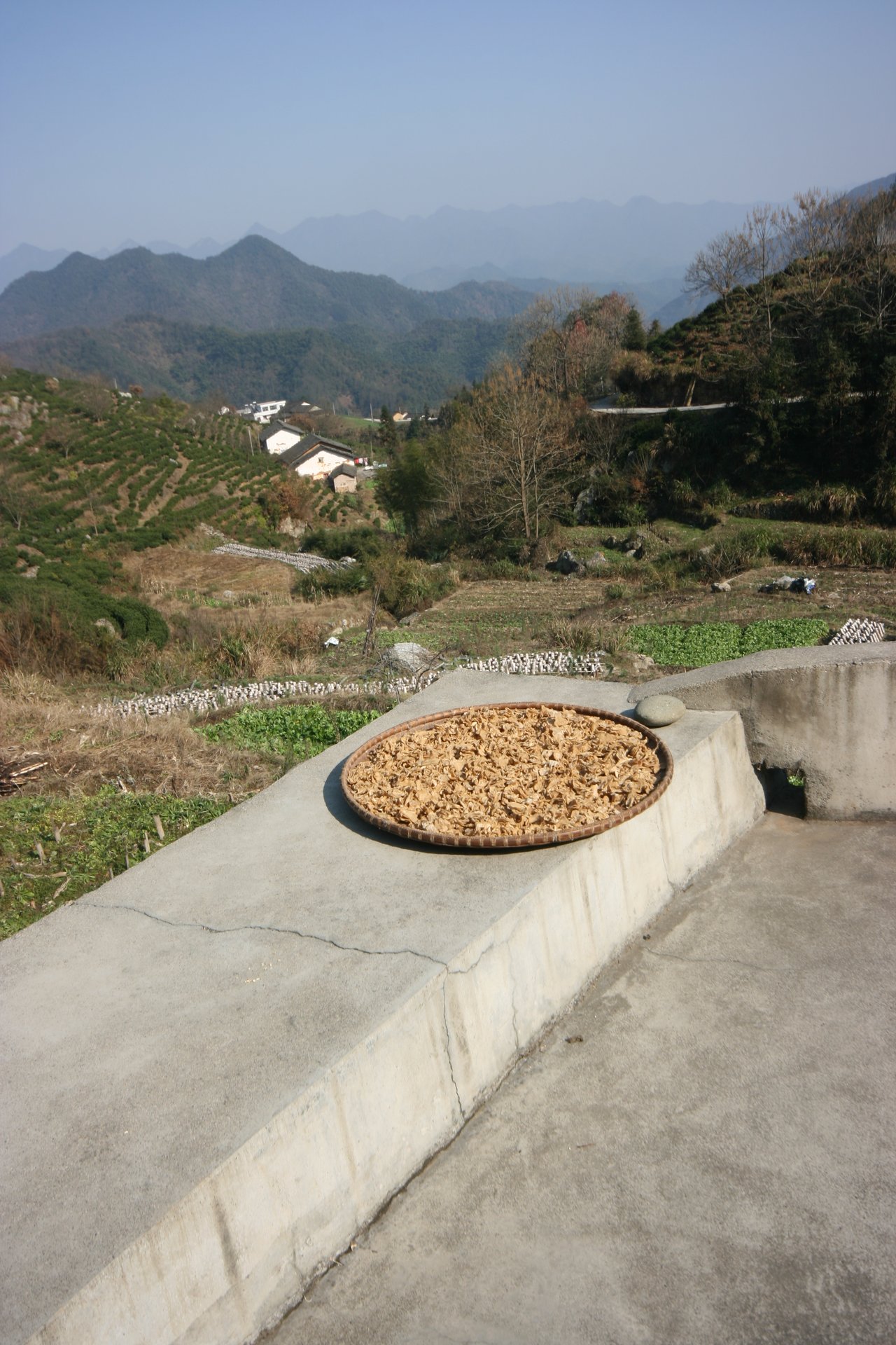 IMG_20111210_104600.jpg