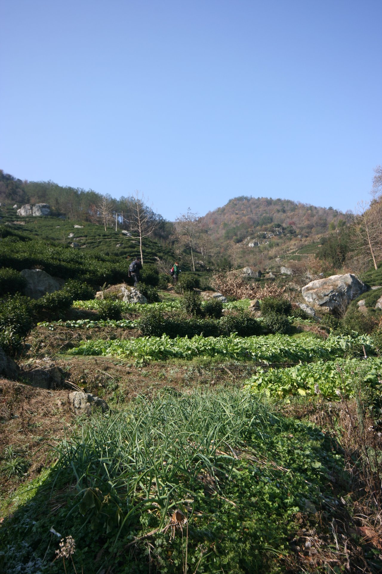 IMG_20111210_104617.jpg