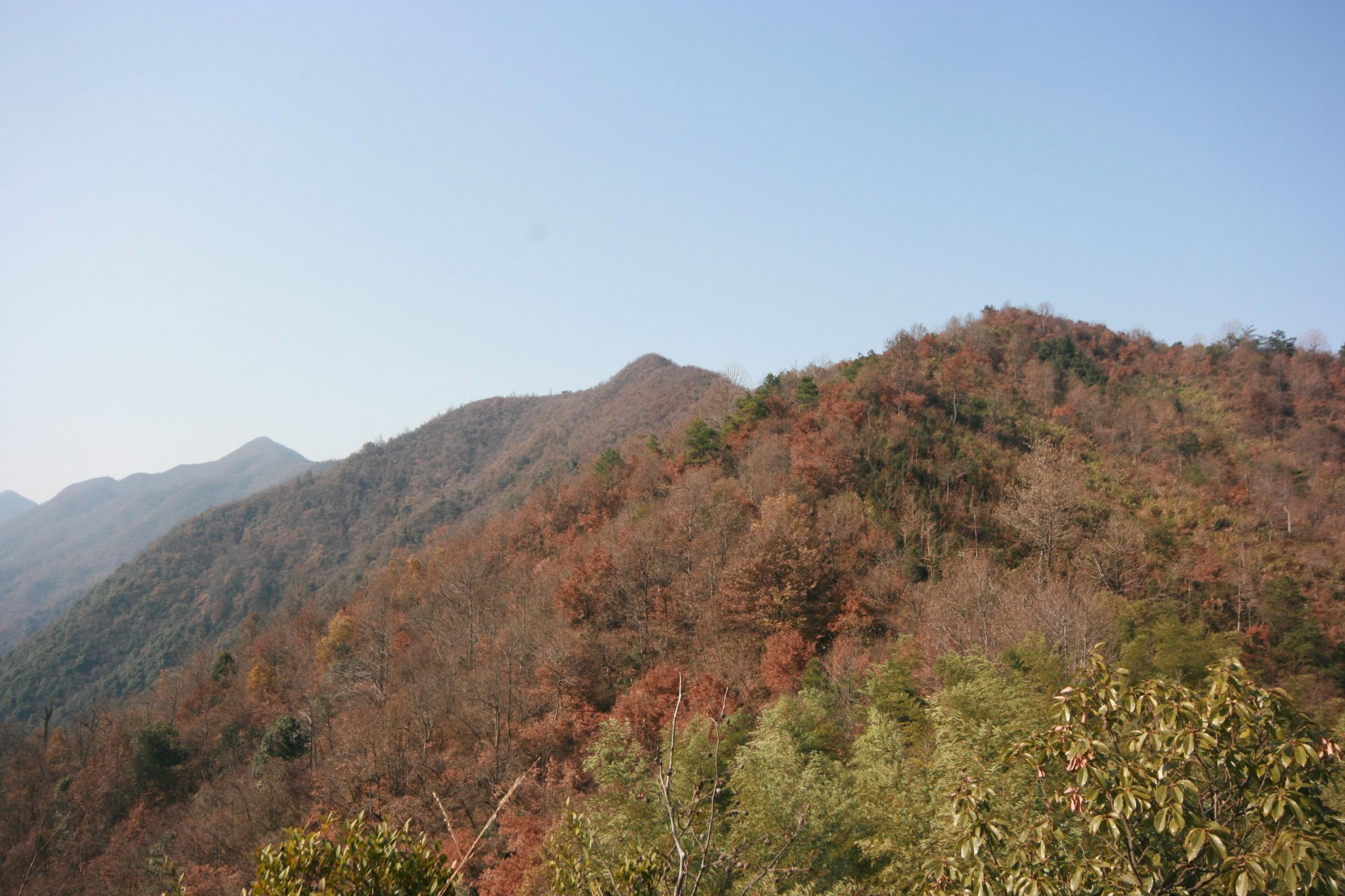 IMG_20111210_115308.jpg
