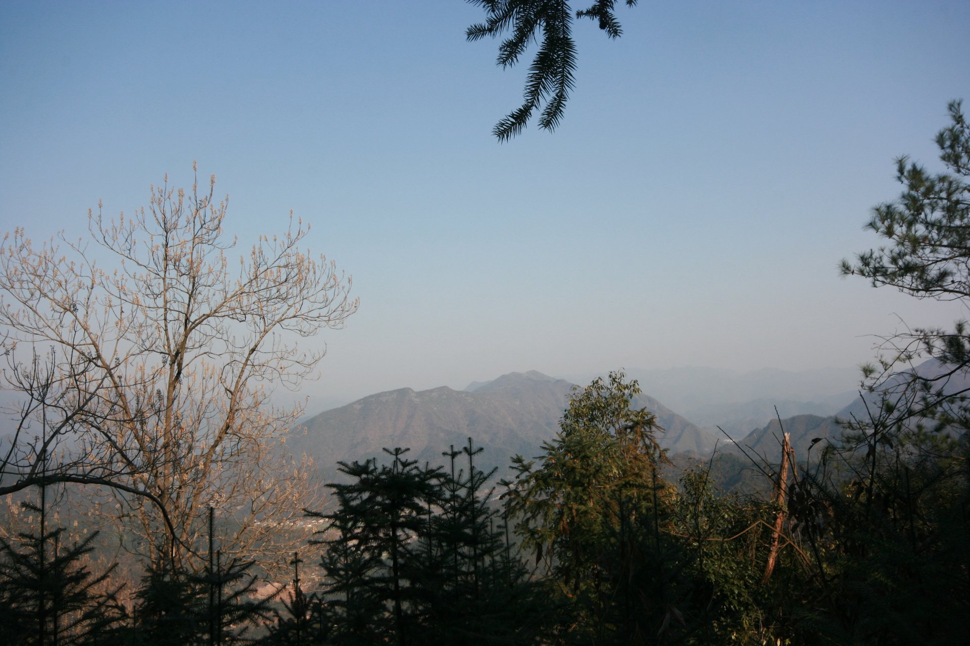 IMG_20111210_134901.jpg