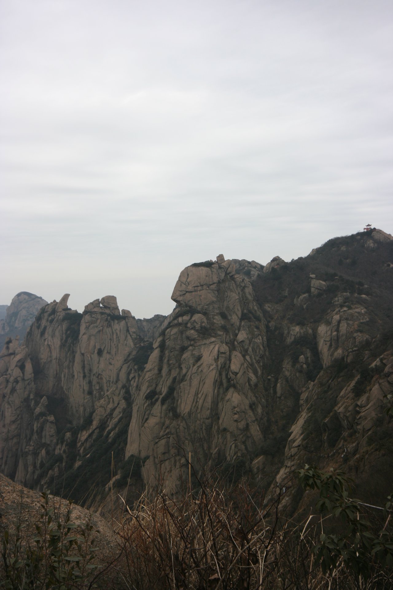 IMG_20111218_120631.jpg