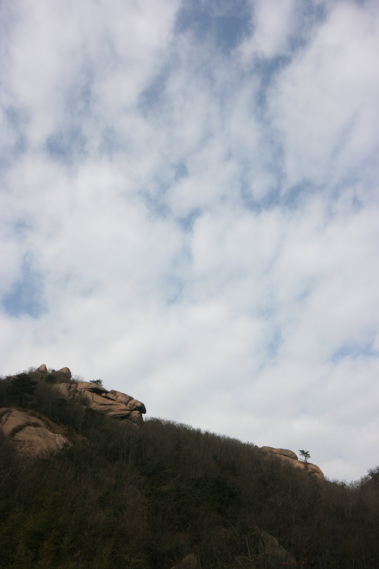 IMG_20111218_124248.jpg