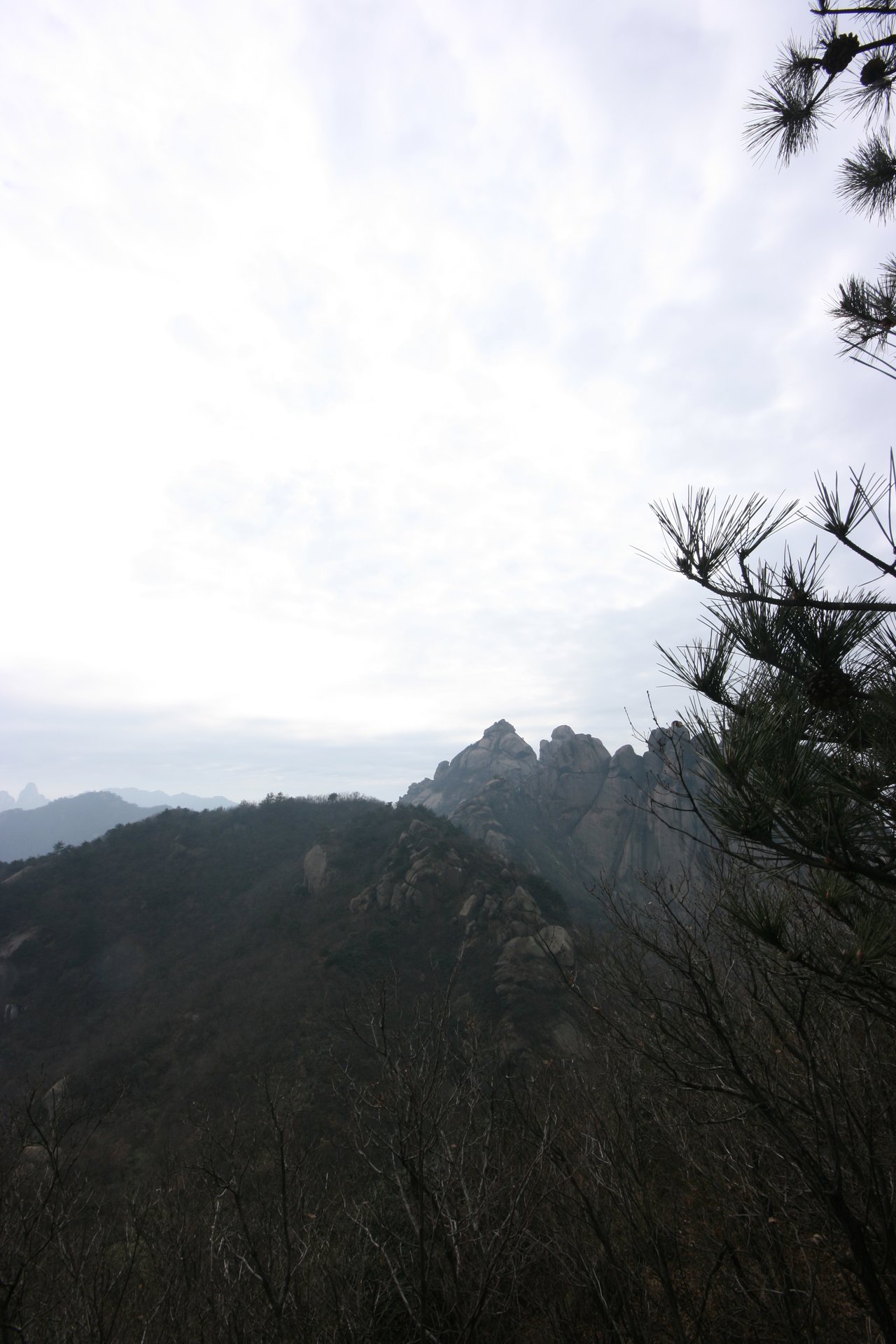 IMG_20111218_133032.jpg