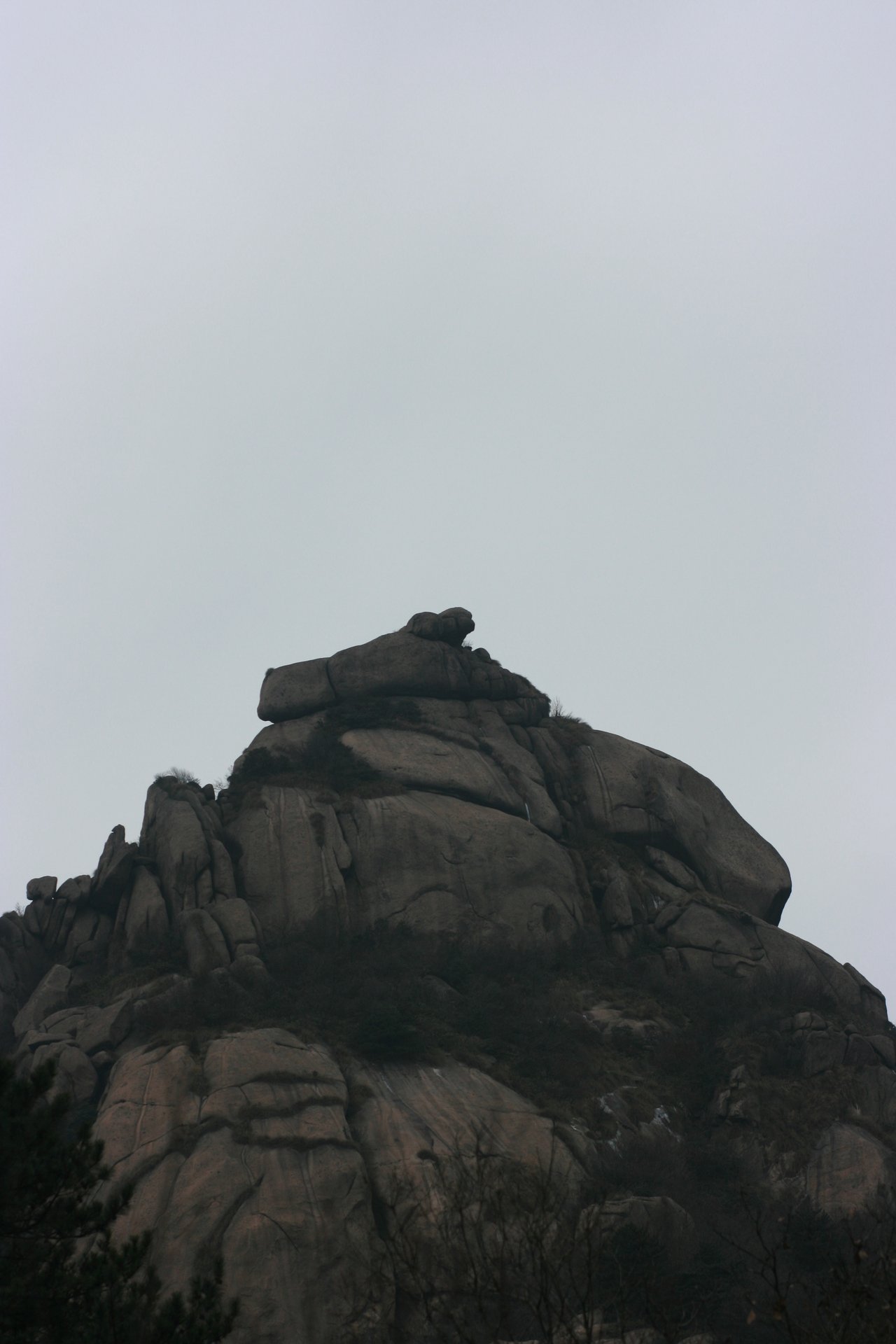 IMG_20111219_090000_014.jpg