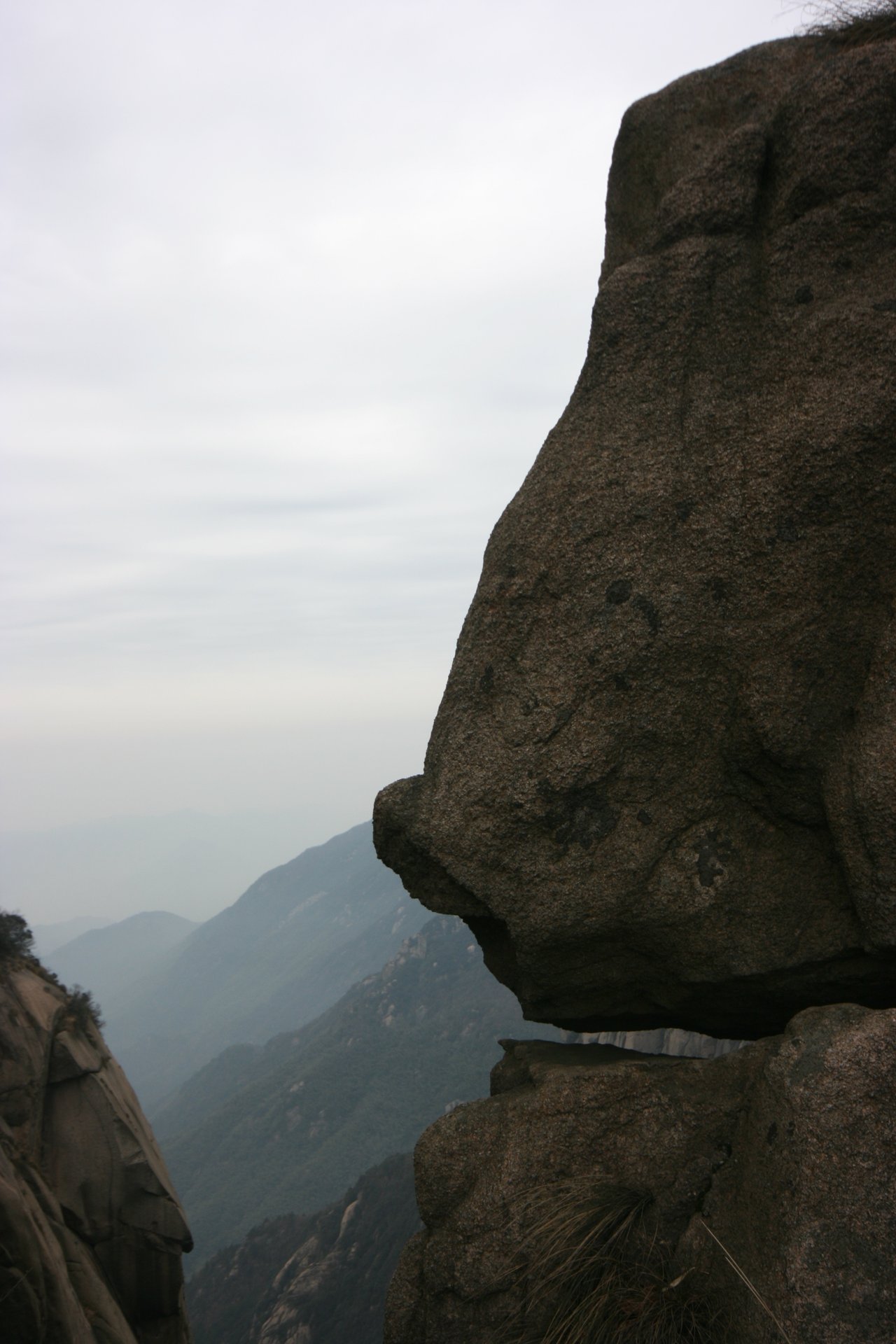 IMG_20111219_090000_016.jpg