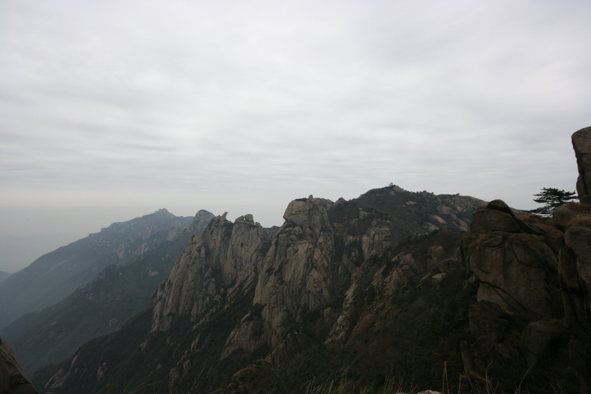 IMG_20111219_090000_017.jpg