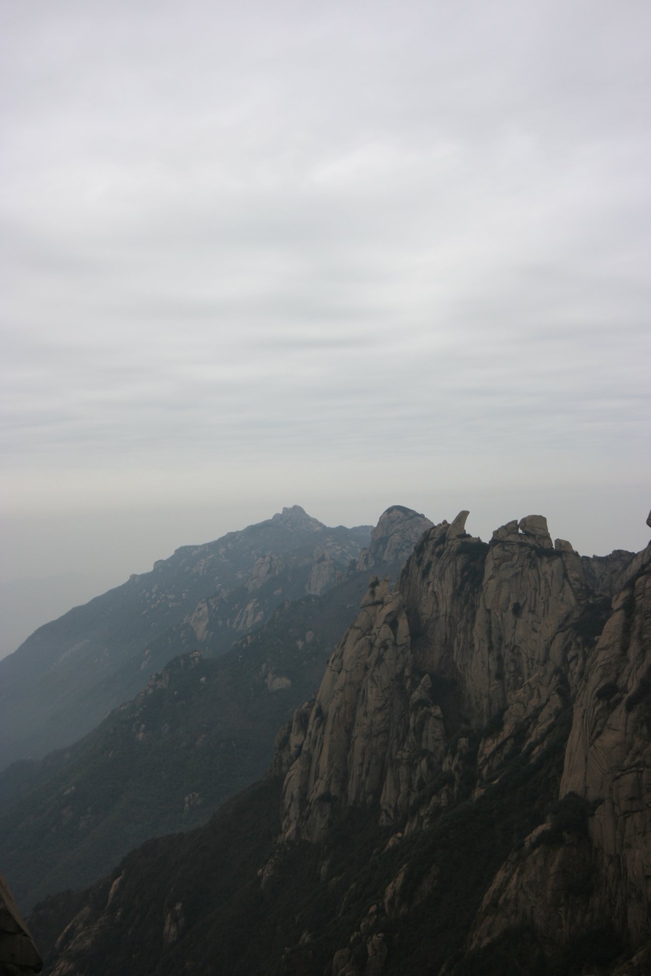 IMG_20111219_090000_018.jpg