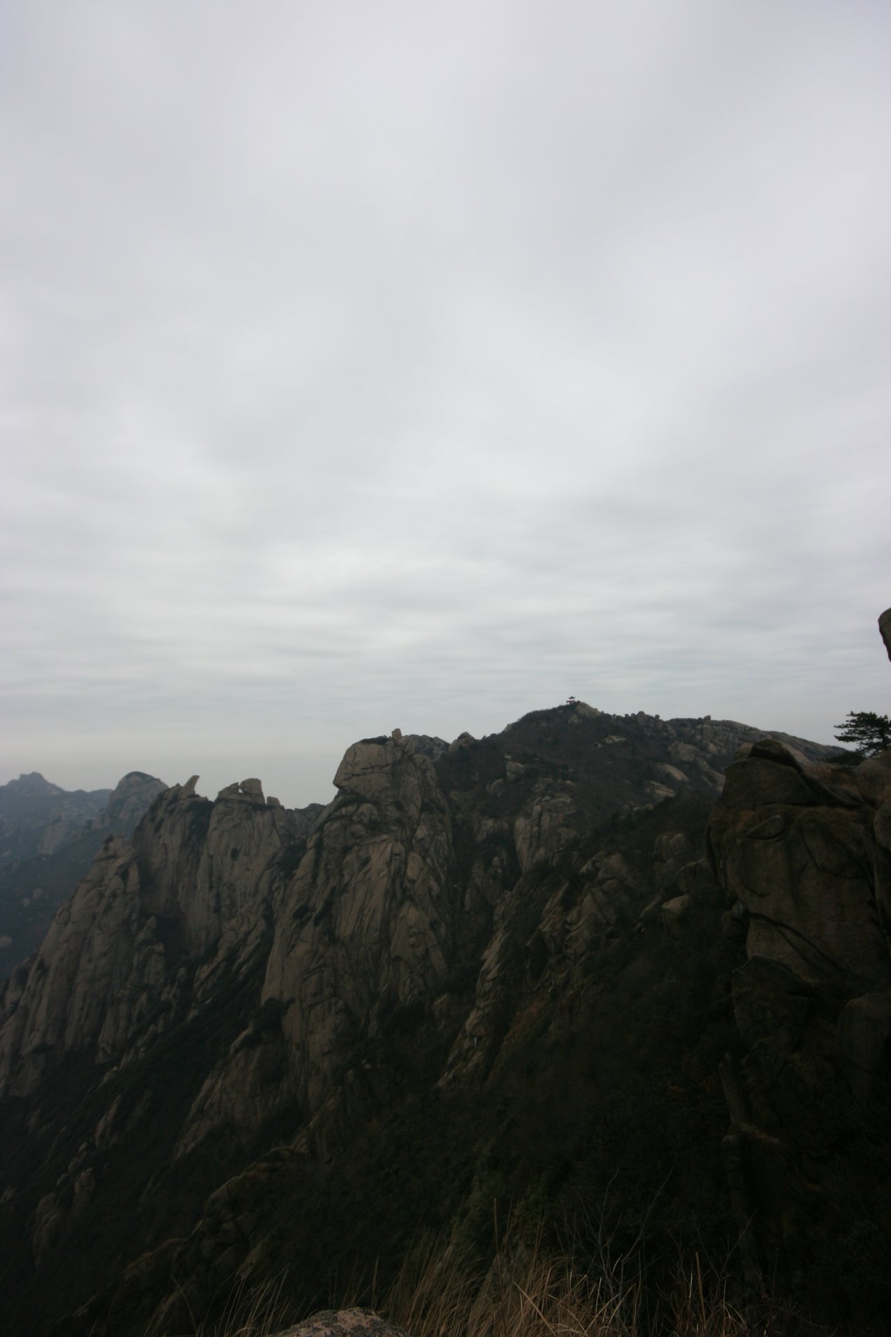 IMG_20111219_090000_021.jpg