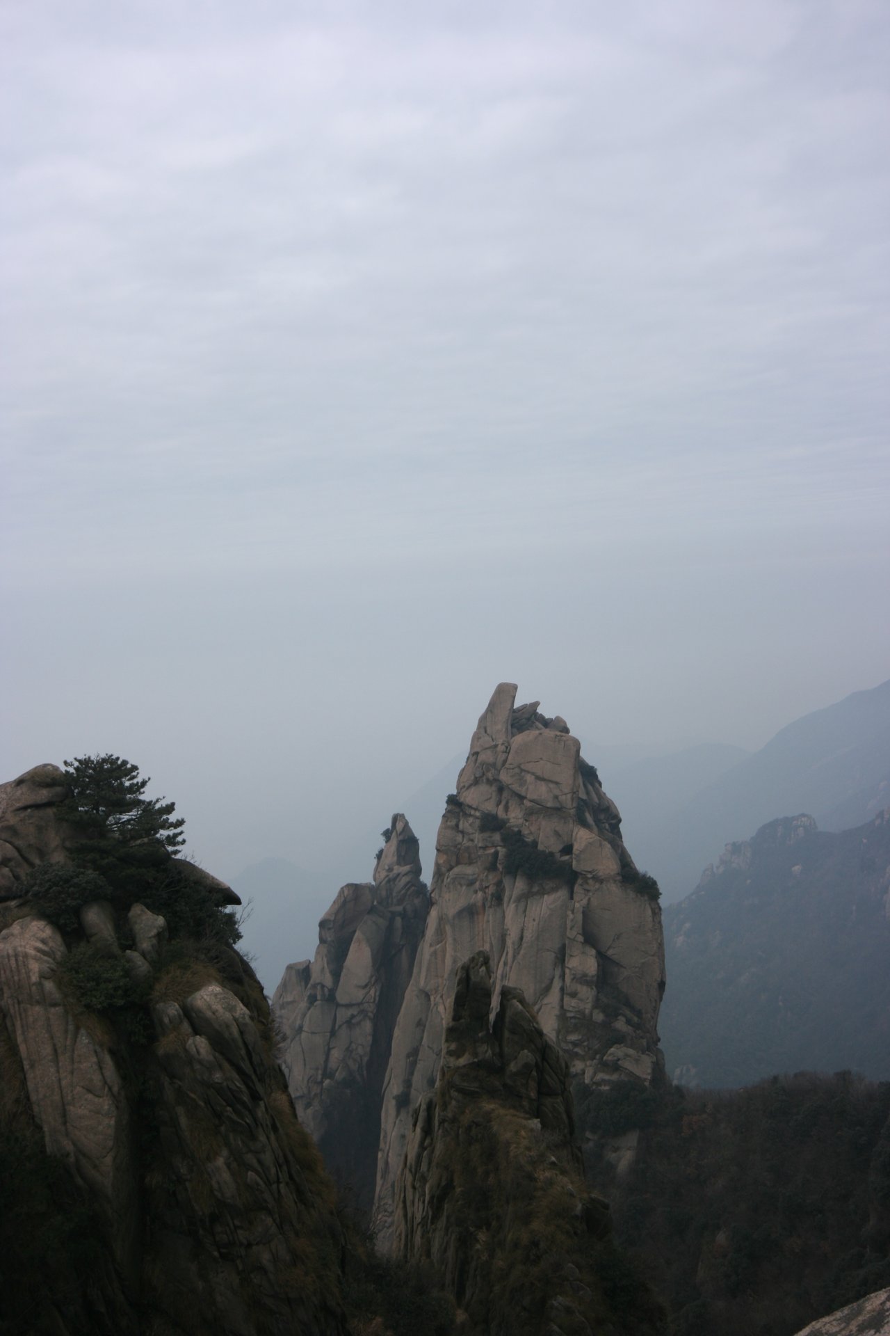 IMG_20111219_090000_049.jpg