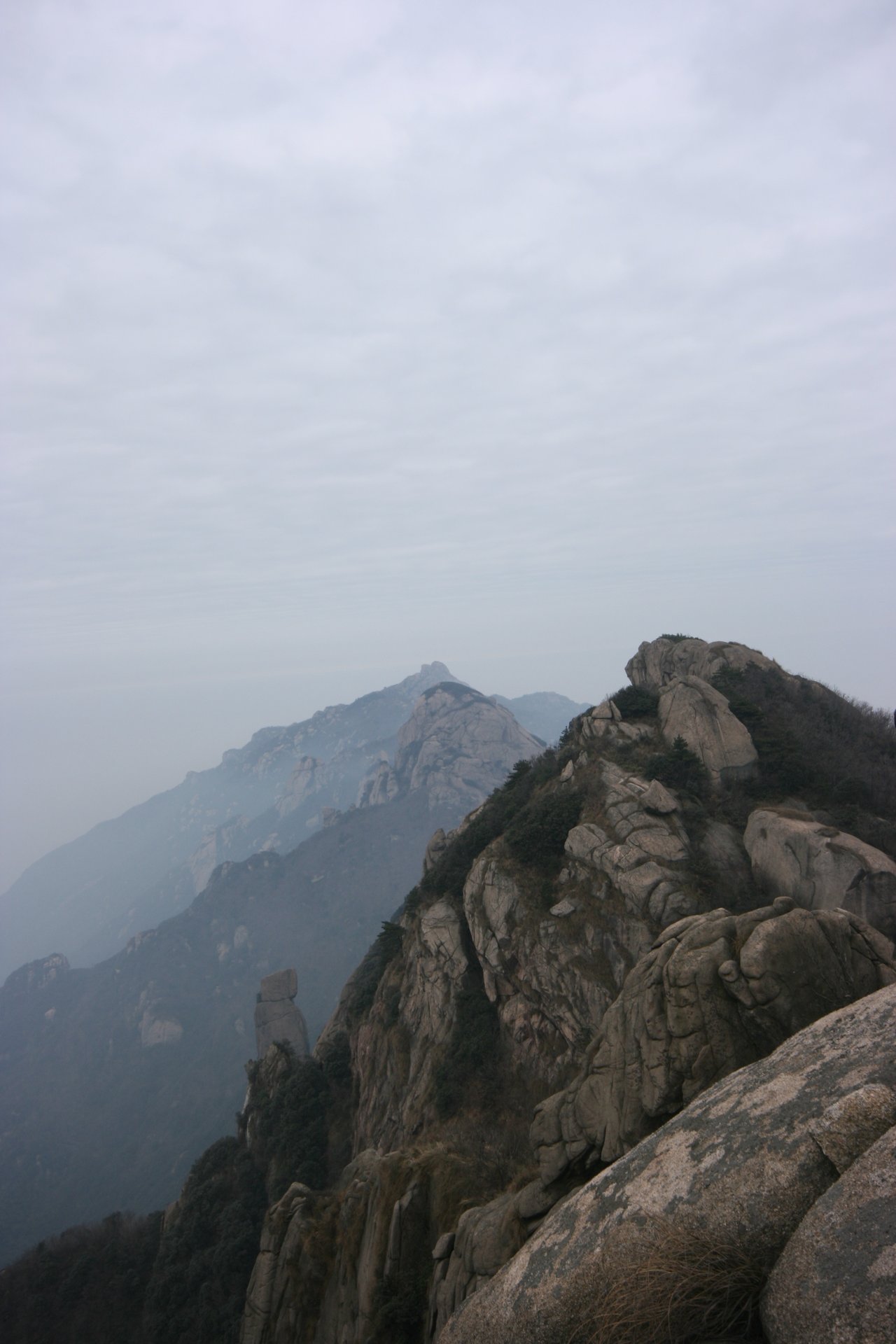 IMG_20111219_090000_050.jpg
