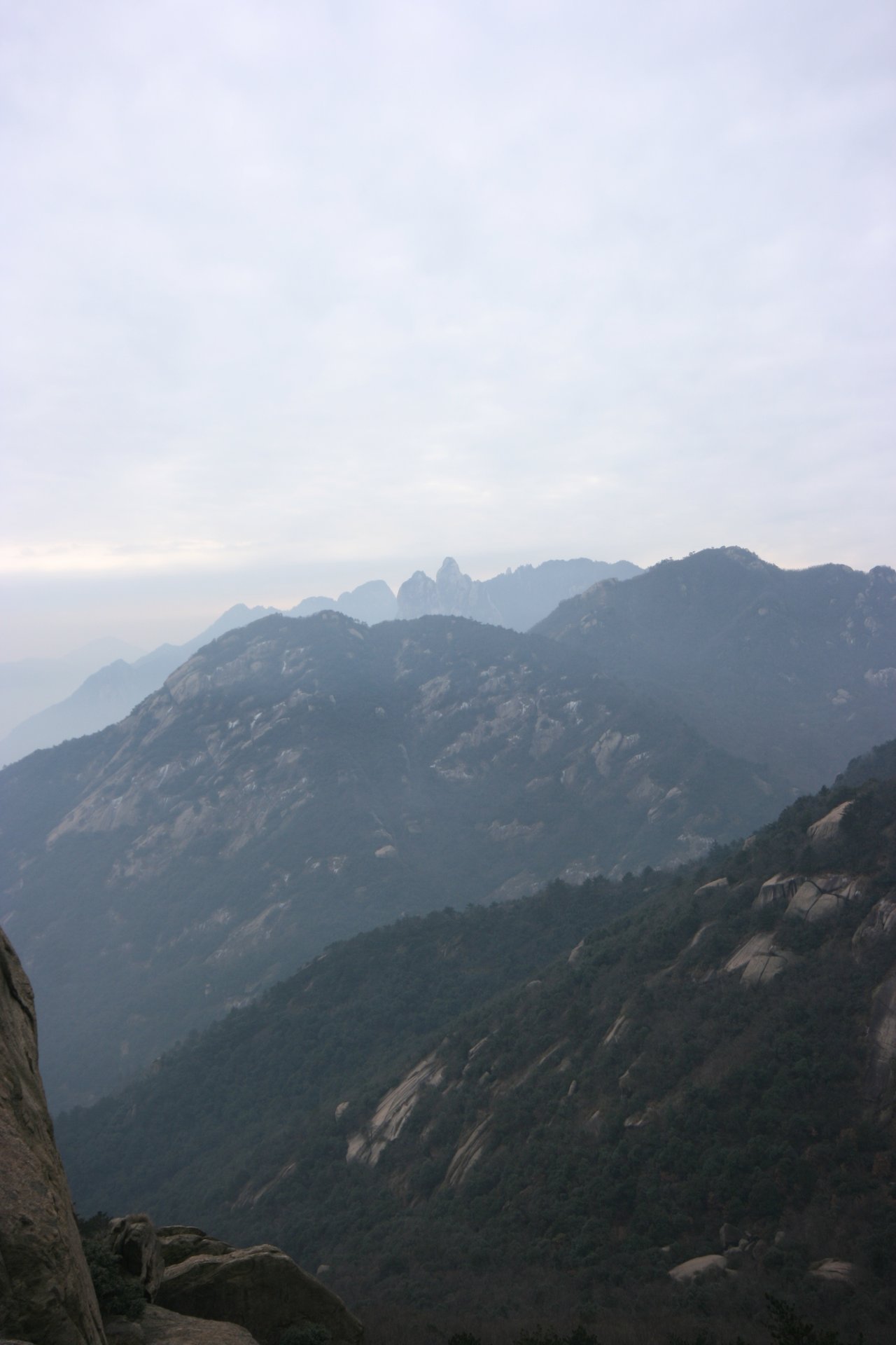 IMG_20111219_090000_055.jpg