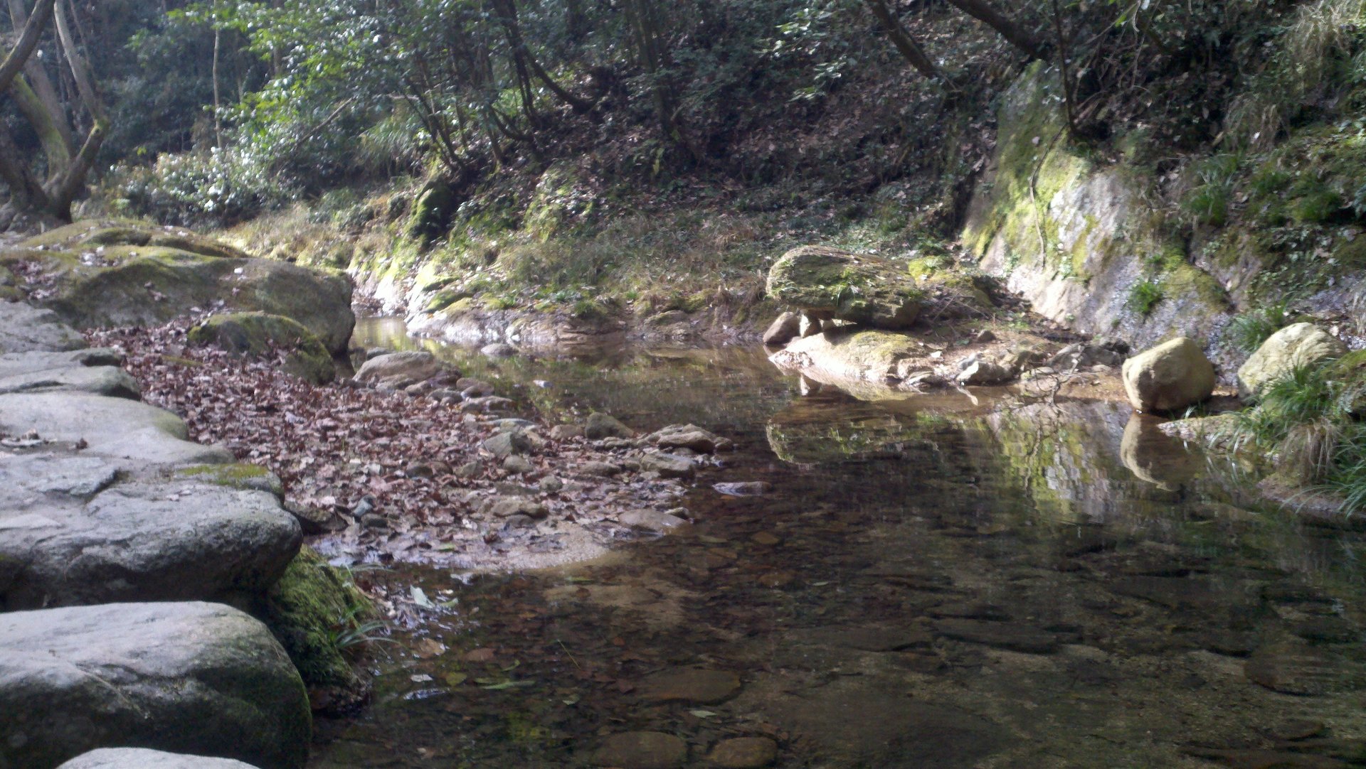IMG_20111225_090000_007.jpg