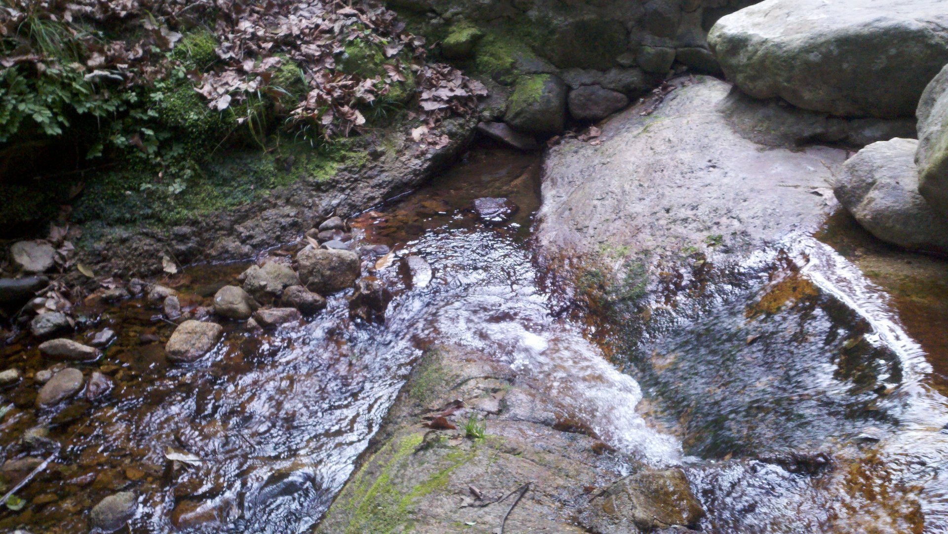 IMG_20111225_090000_008.jpg